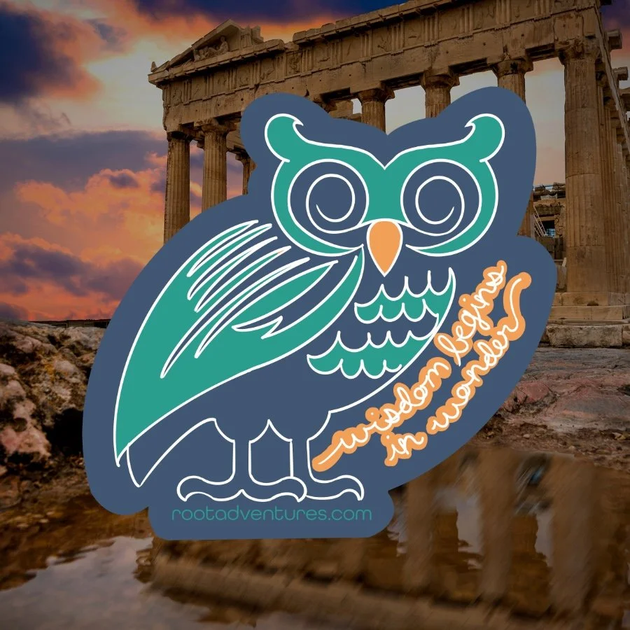 Destination Shop-48-2.jpeg