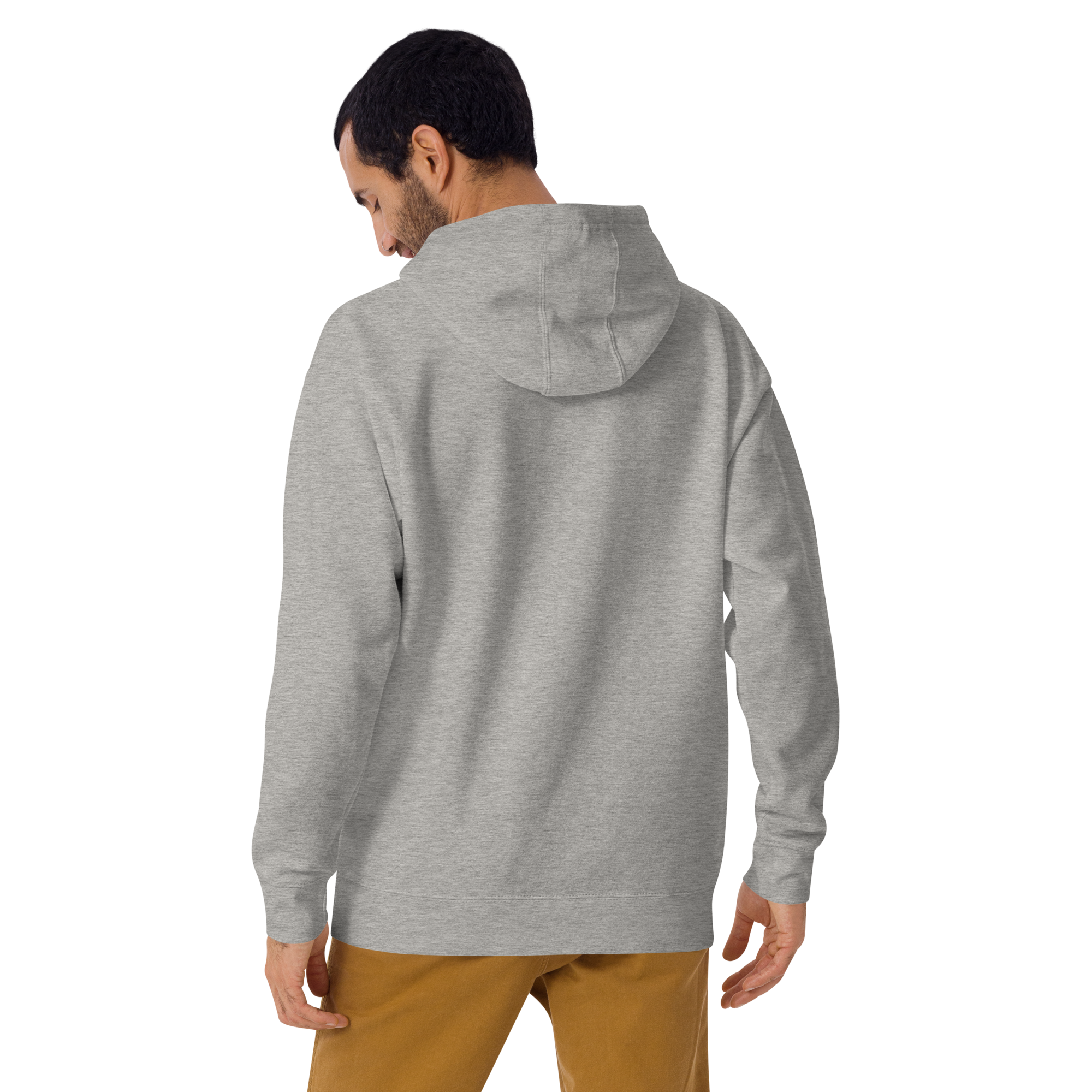 unisex-premium-hoodie-carbon-grey-back-670ebe81dba66.png