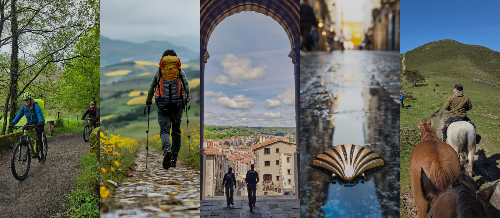 Camino Spain-1-2.png