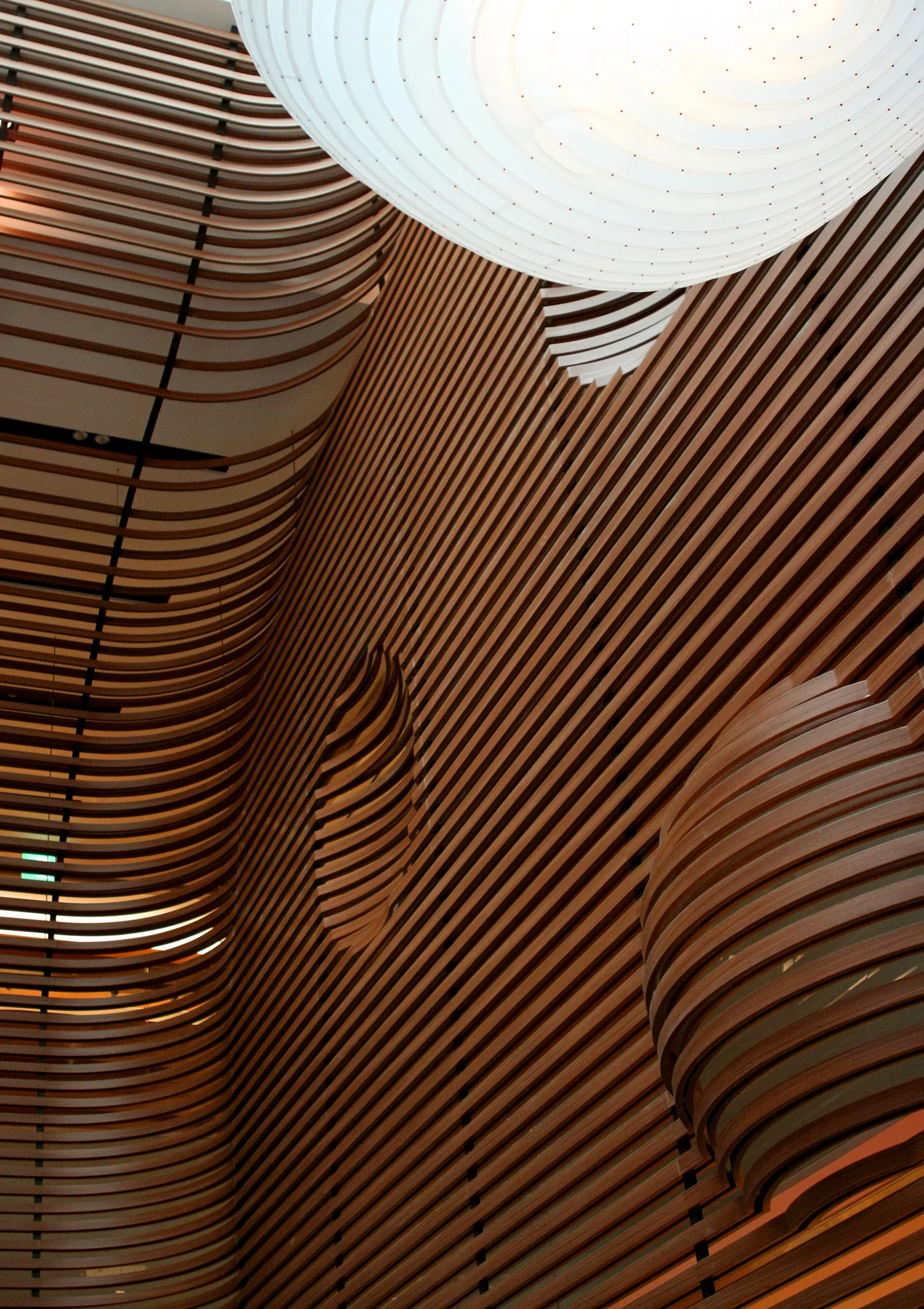 CHAUM Anti Aging Life Center 001.JPG