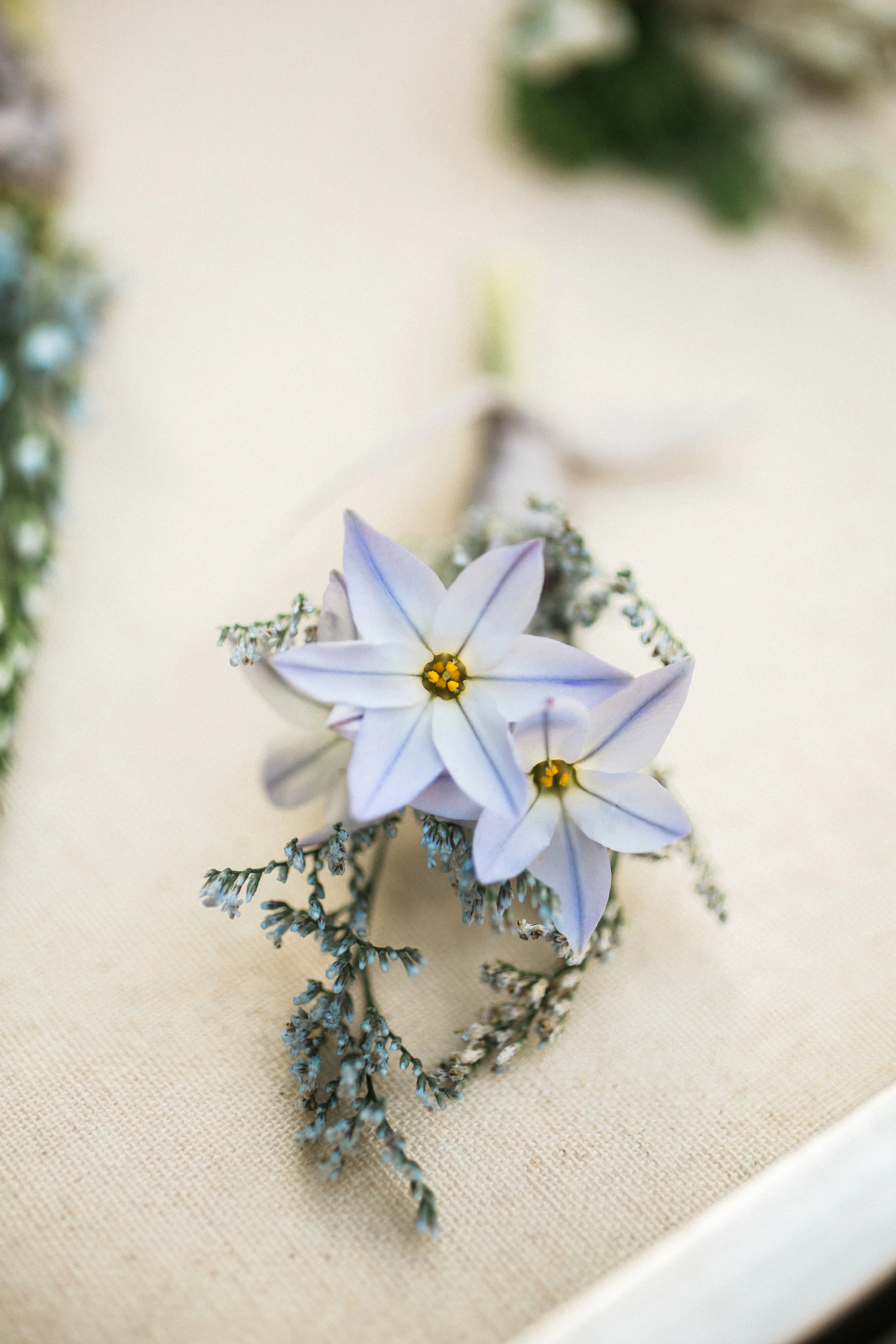 Hudson-Nichols-Rustic-Silver-Sage-2016_109.jpg
