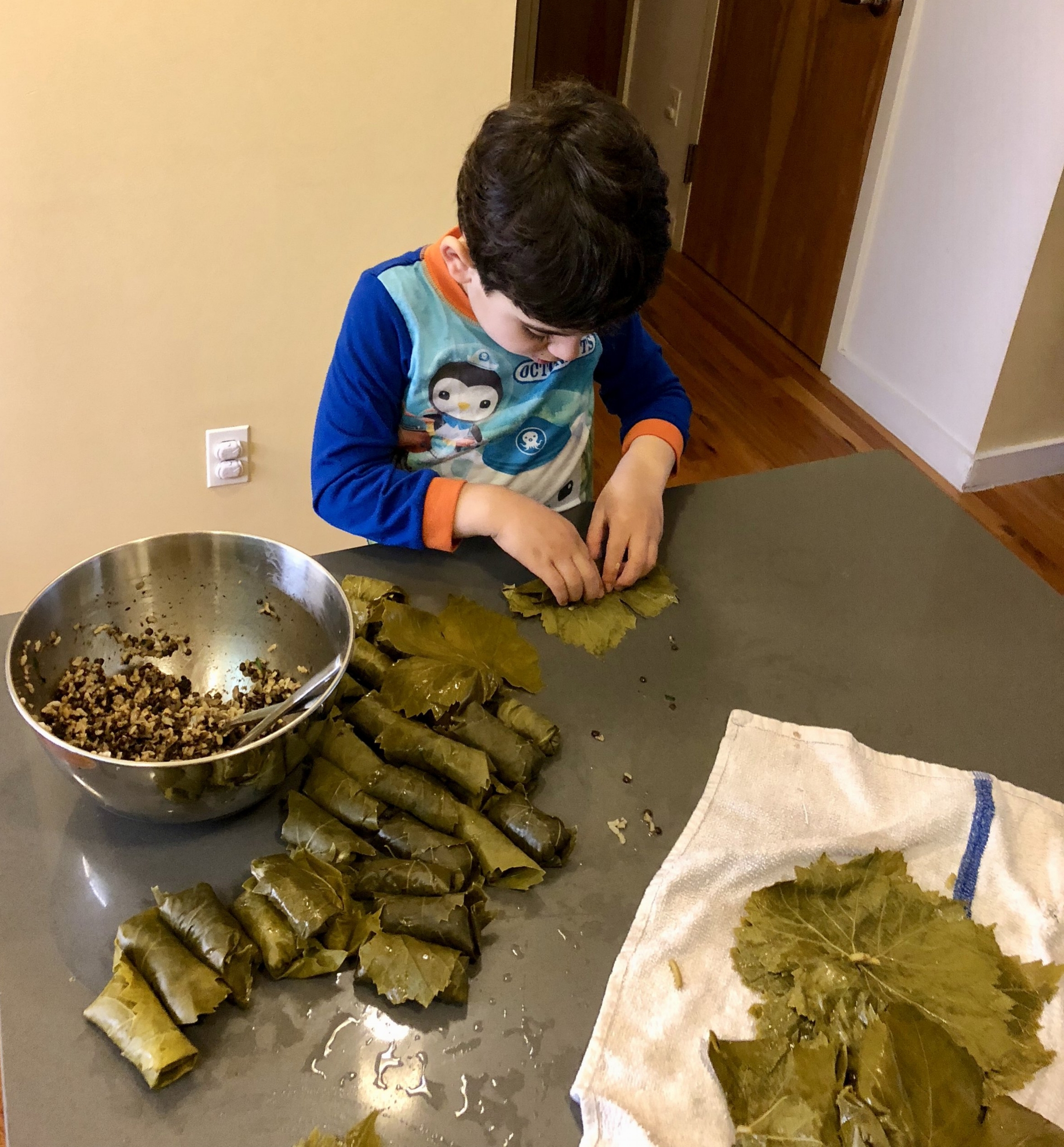 Dolmas: Vegetarian Stuffed Grape Leaves