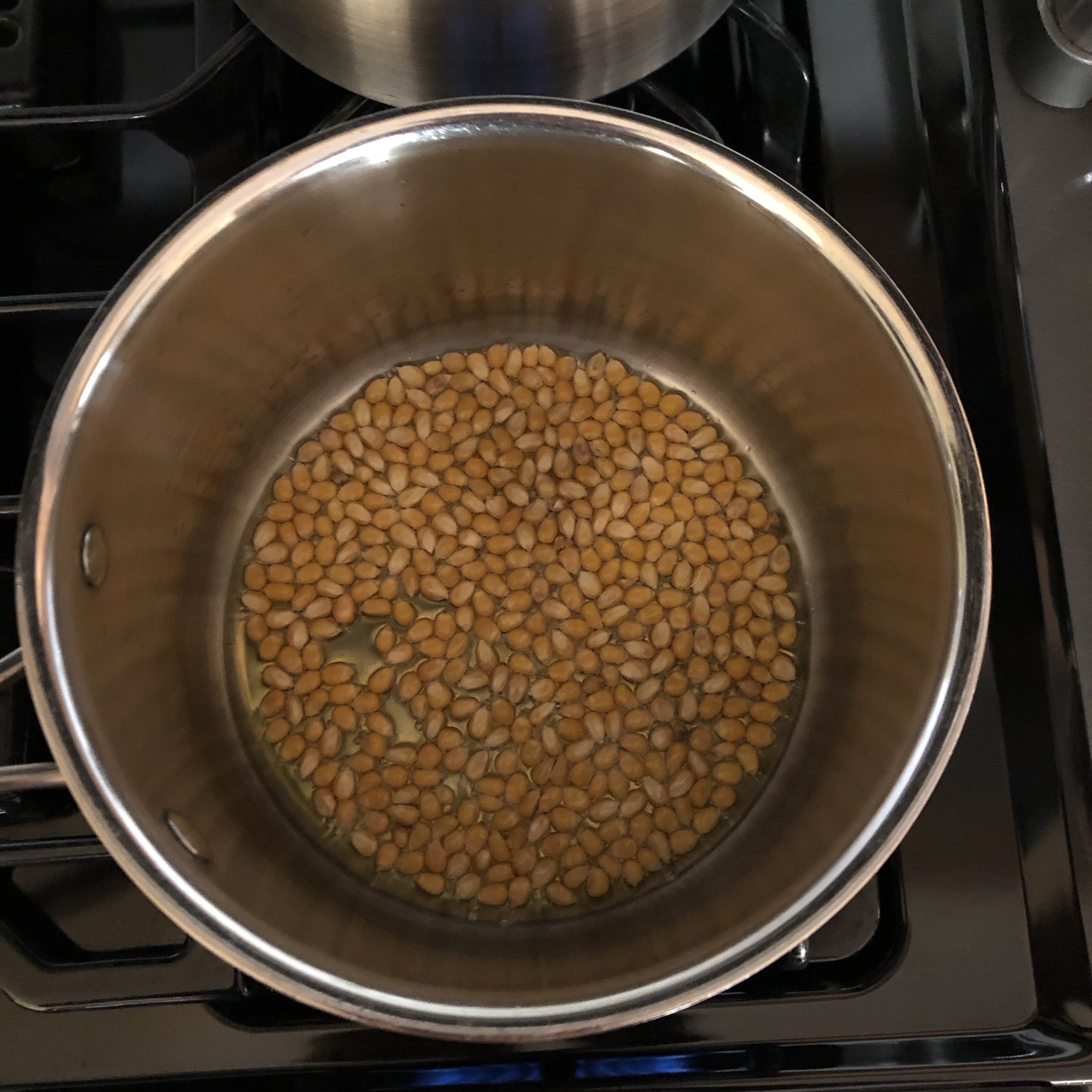 Fill the bottom of the pot with a single layer of popcorn kernels.