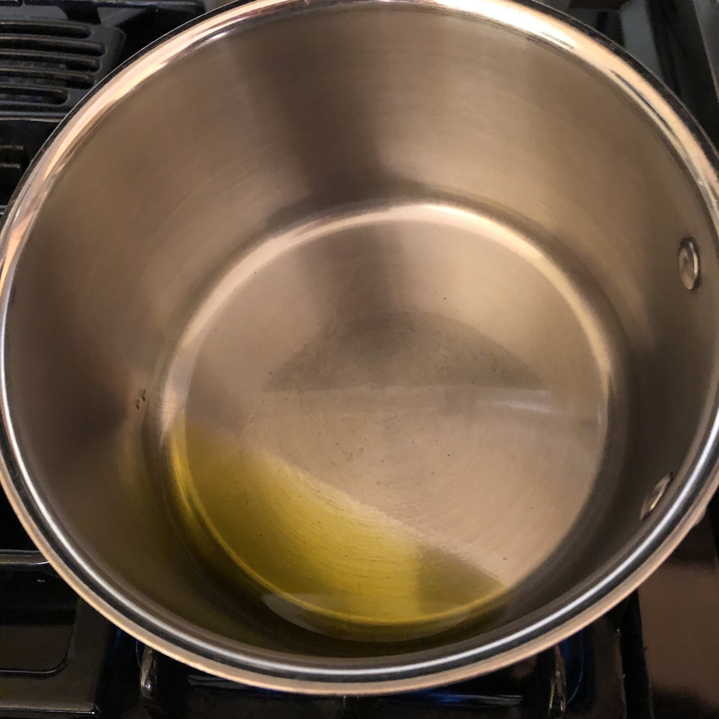 Add a thin layer of oil to an already heated pot over medium high heat.