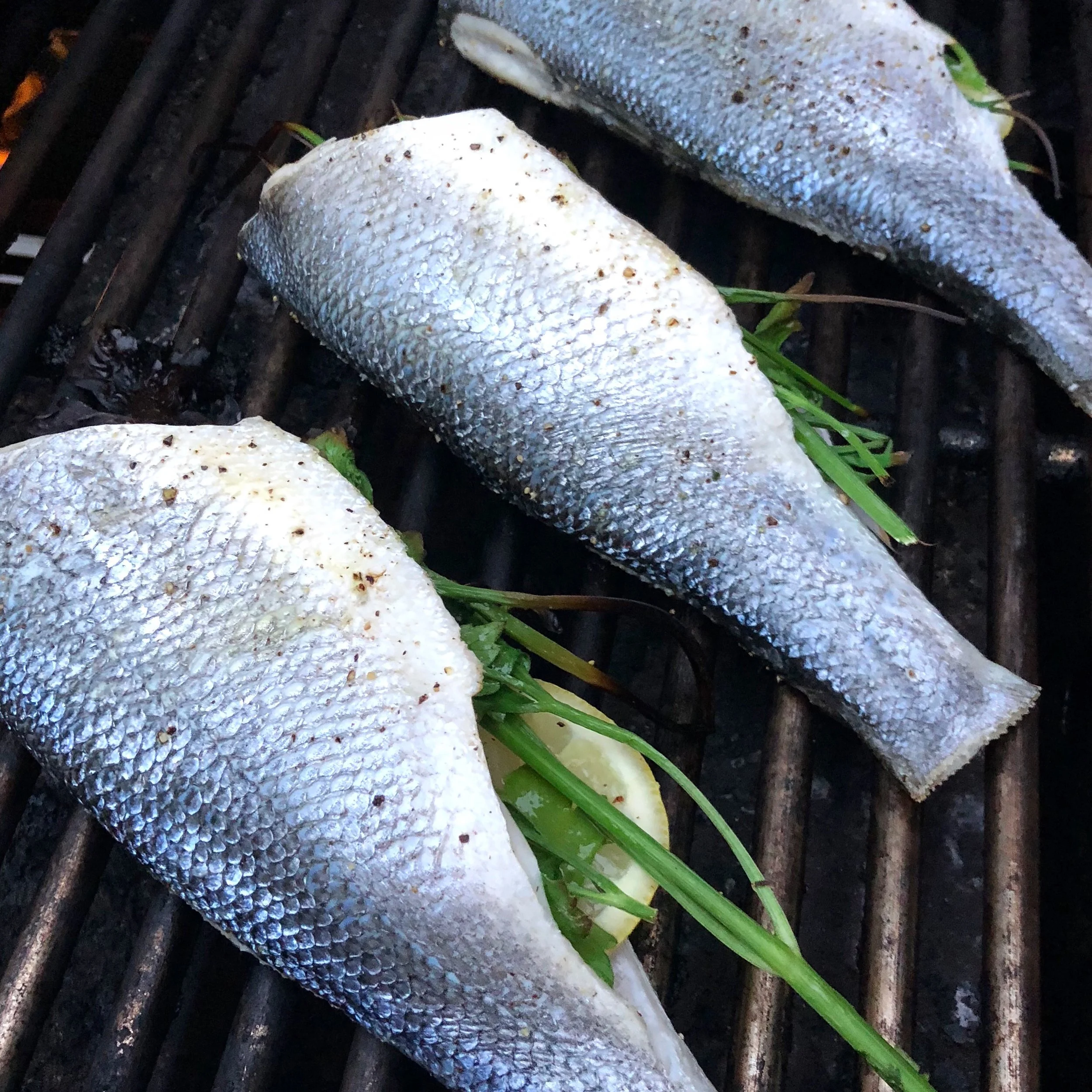 Whole Grilled Fish with Fresh Herbs and Citrus 