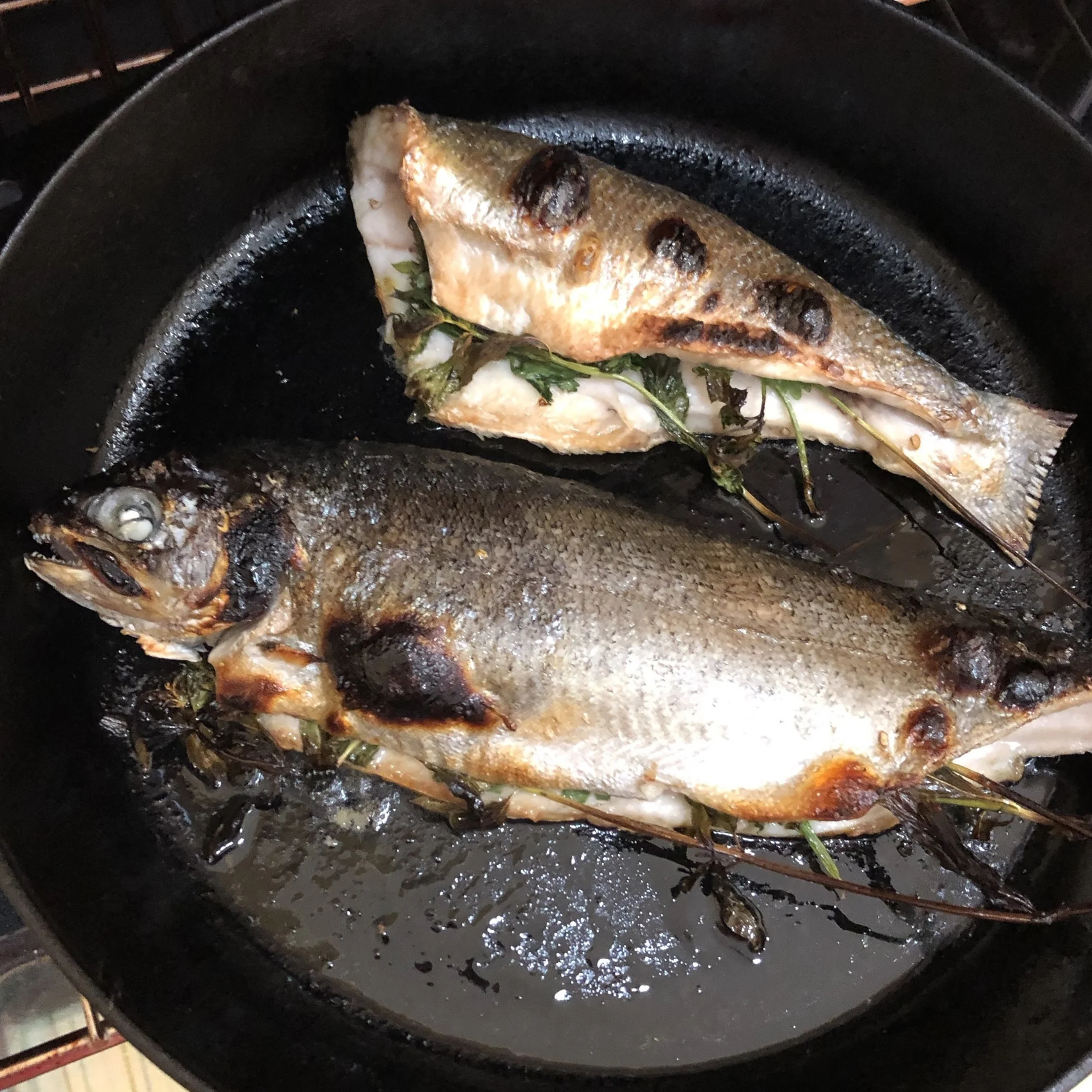 No grill? No problem. You can also cook this whole fish under the broiler in a cast iron skillet or broiler safe pan. Heat the pan under the broiler for about 10 minutes. Add the prepared fish to the pan and place back under the broiler for about 6-7 minutes. Flip and cook an additional 5-6 minutes on the other side.