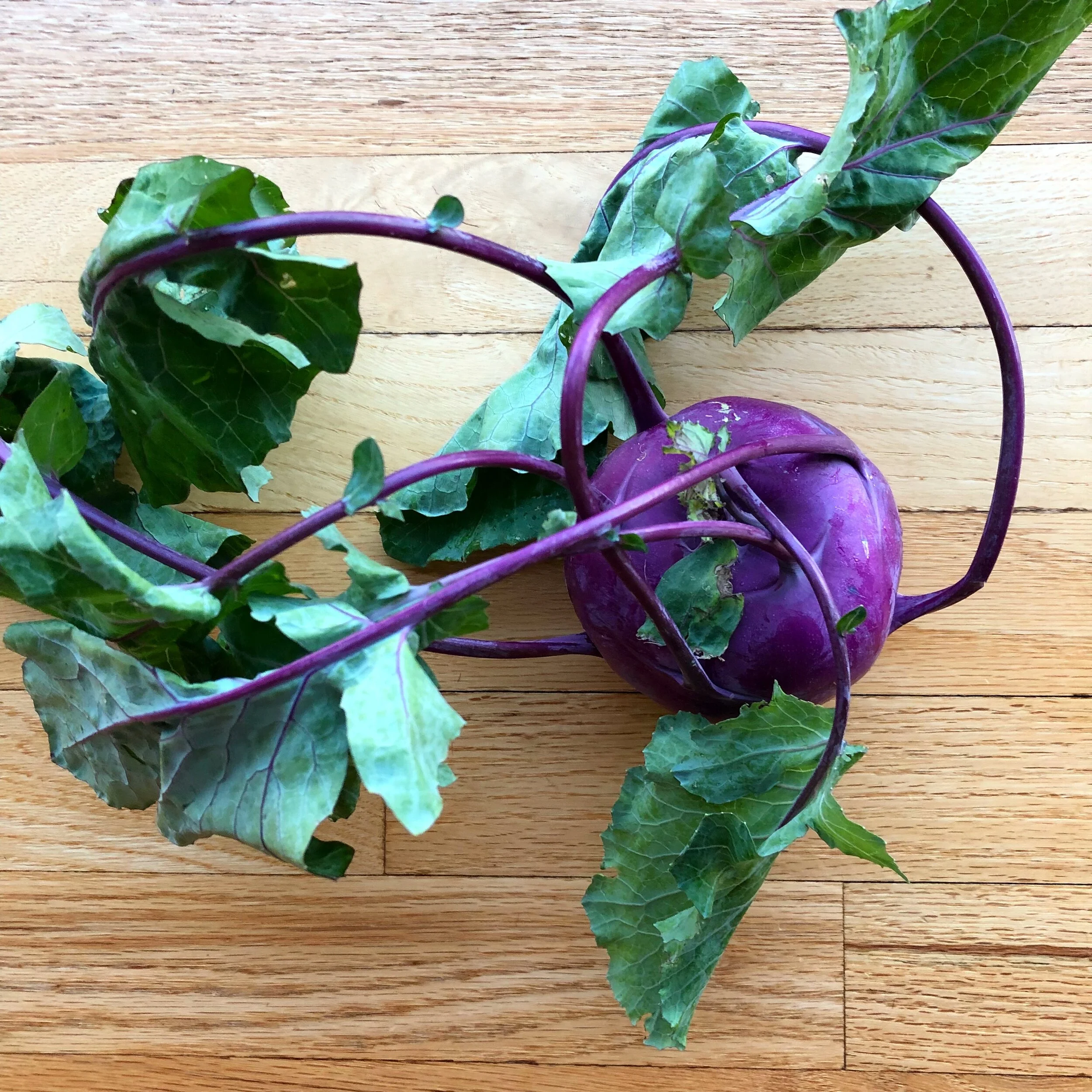 Kohlrabi Clarified