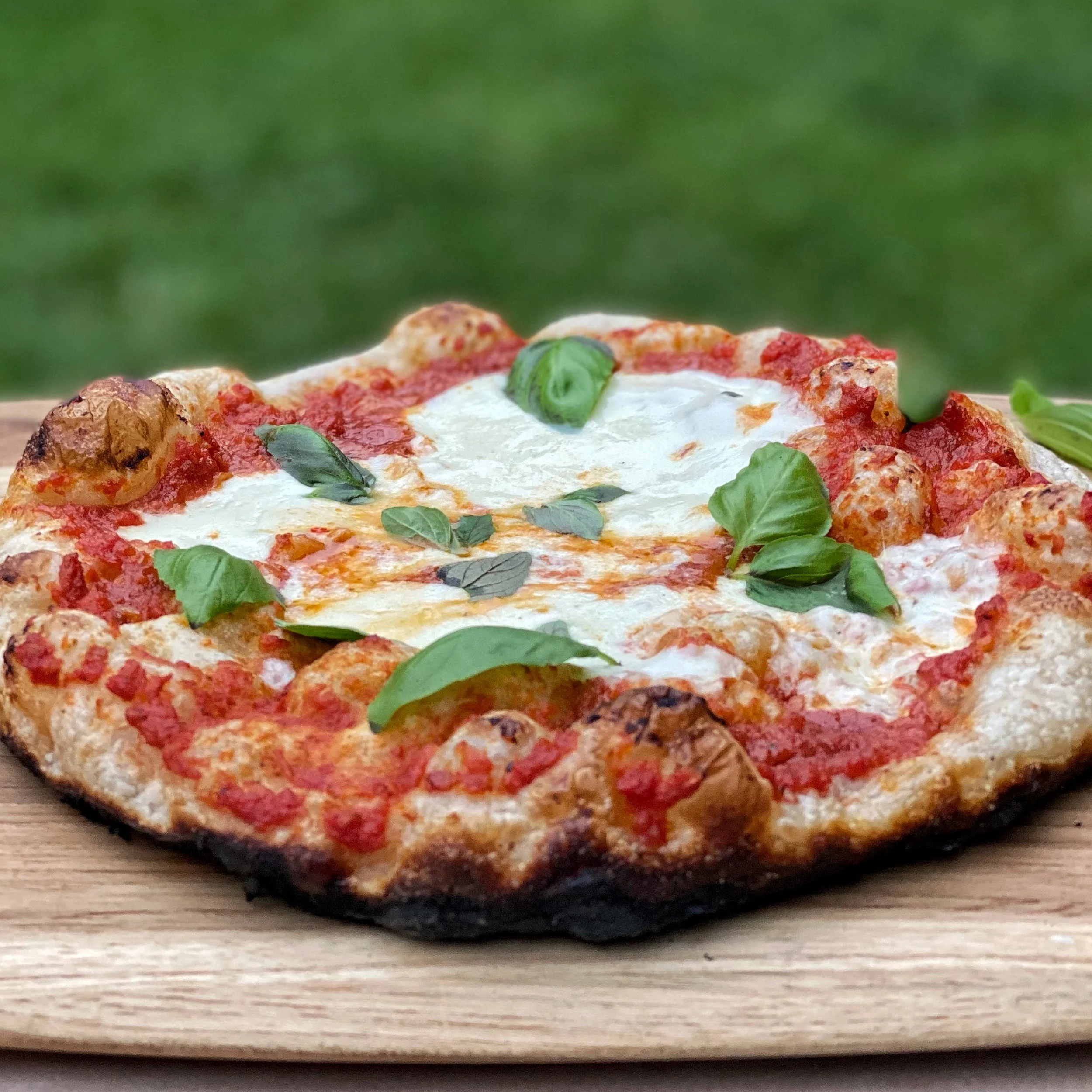 JPEG image-578E91E6BAB0-1.jpeg