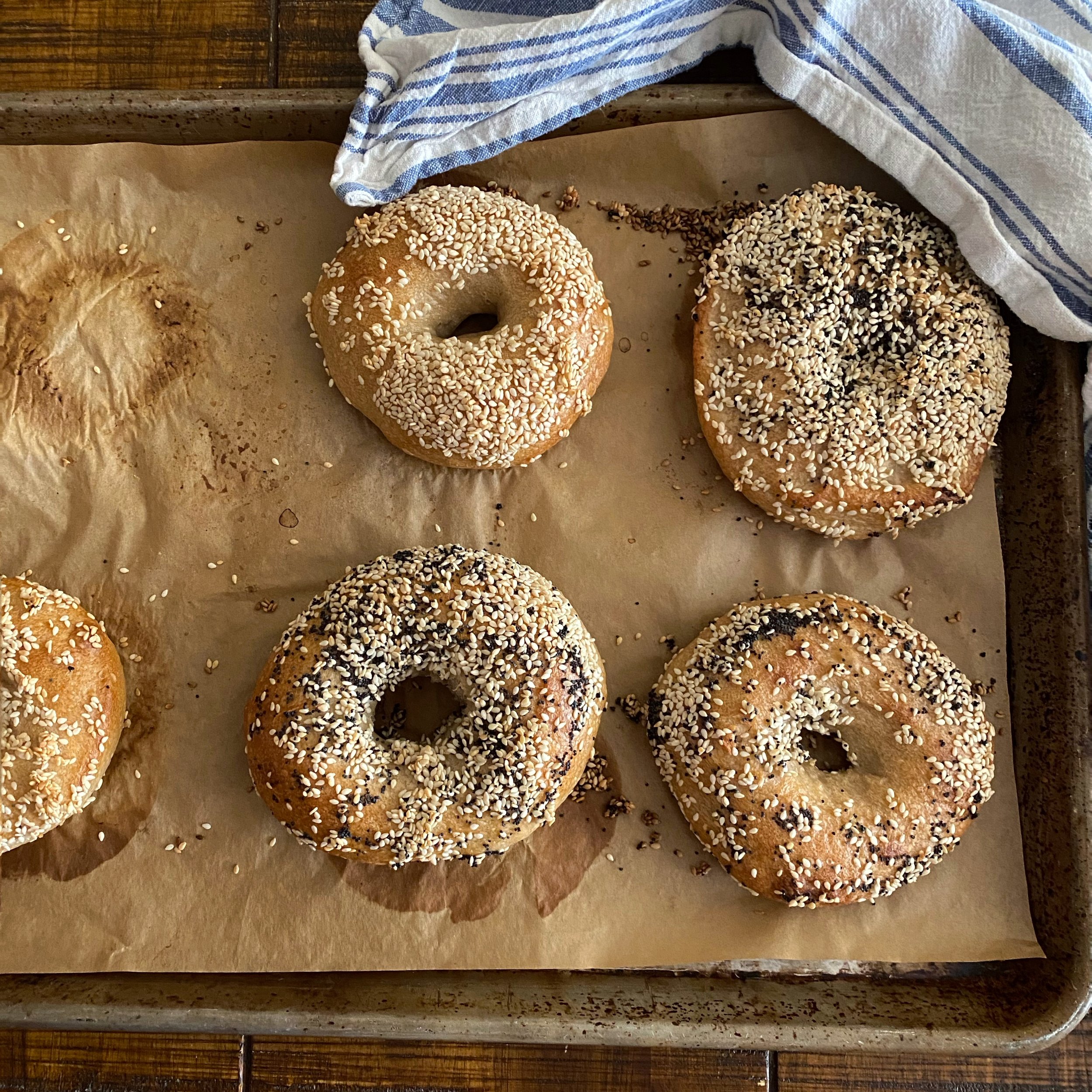 just baked bagels.jpeg