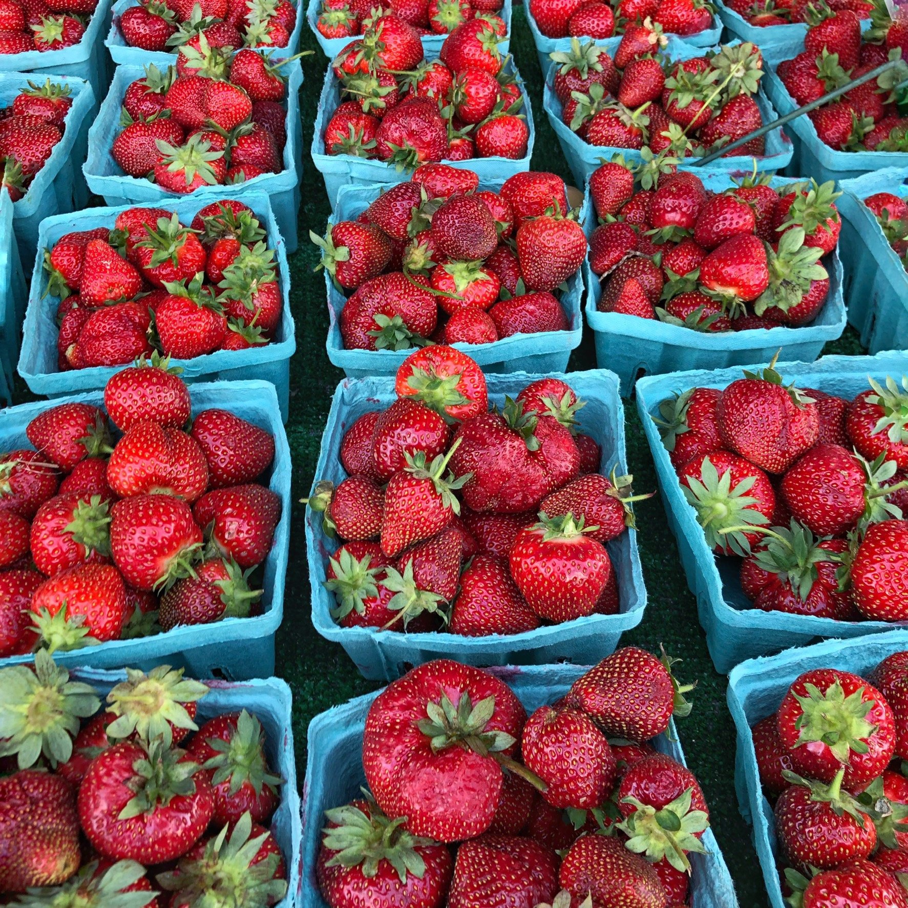 strawberries at farmers market.jpeg