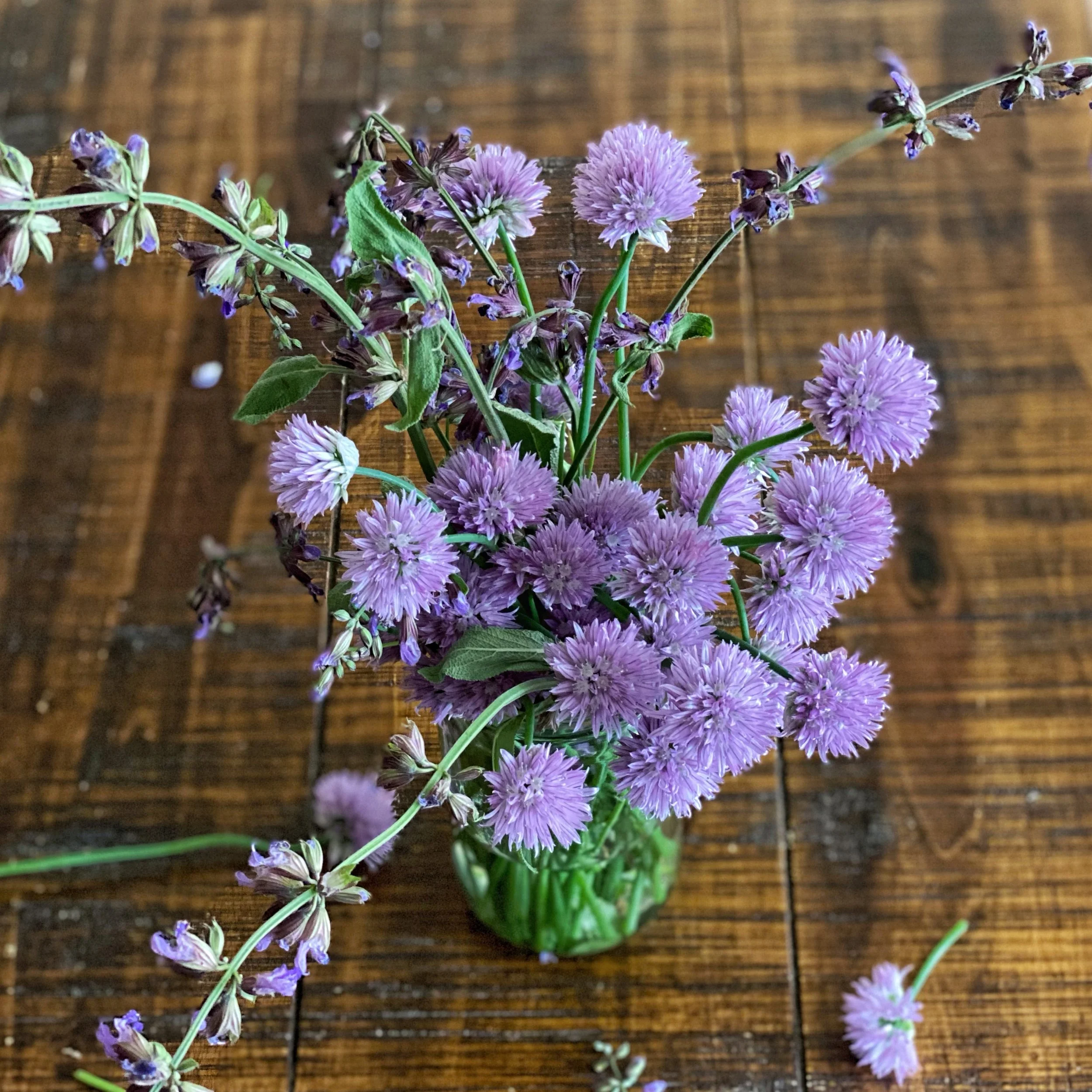 JPEG image-26B9D987F82E-1.jpeg