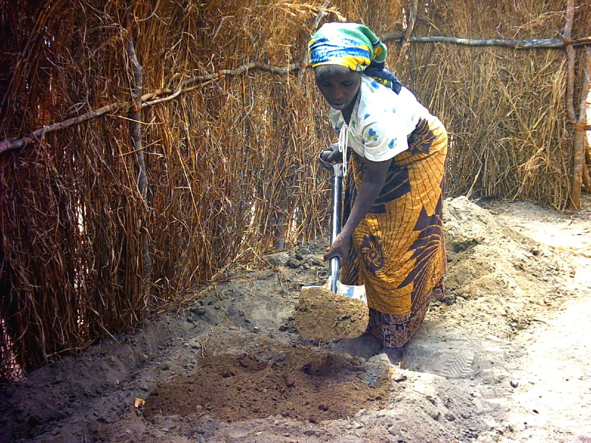 Processed feces that are ready for use as a soil conditioner
