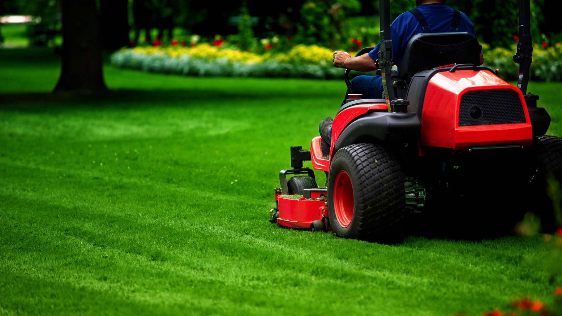 Lawn Weed Control