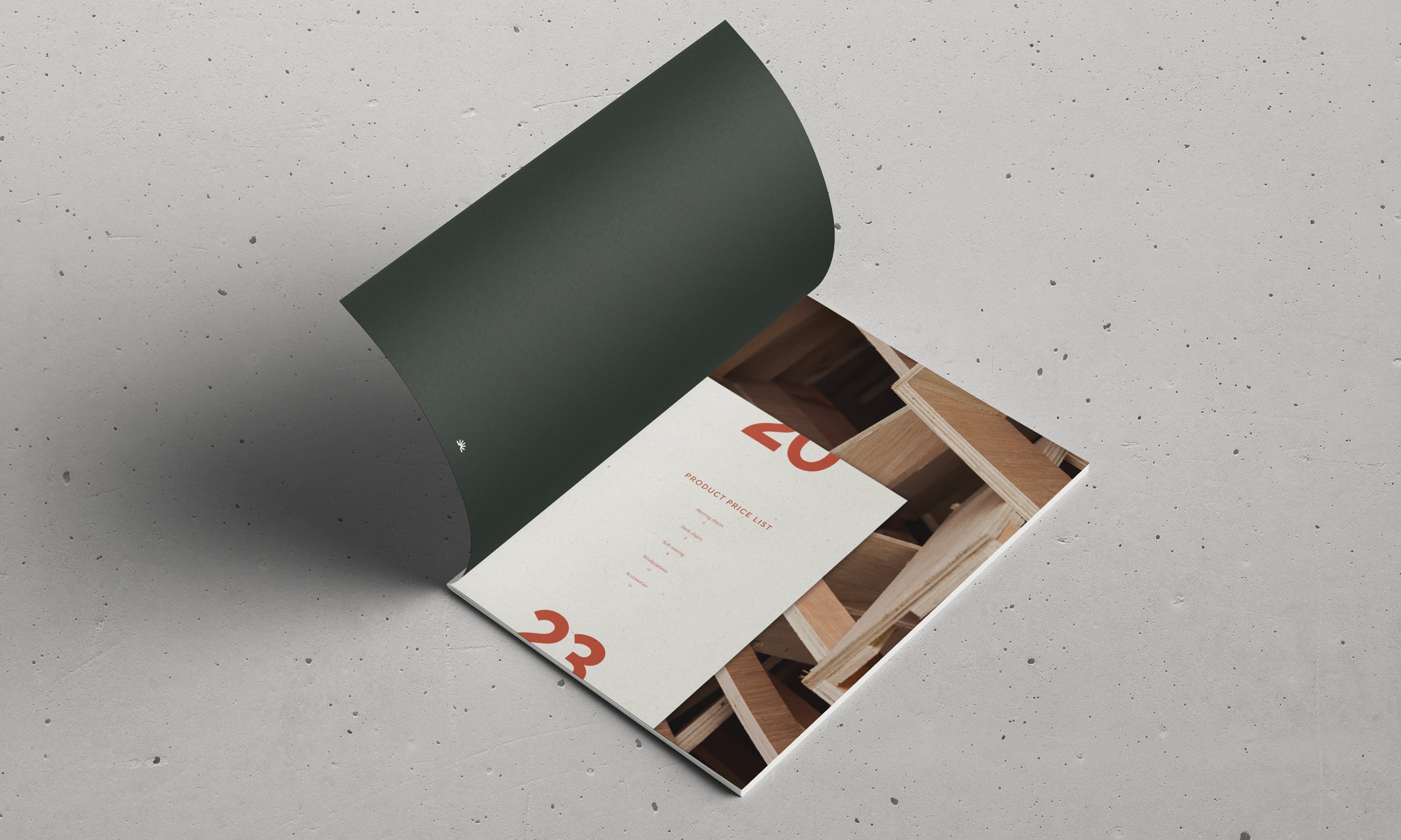 Summit_Identity_Design11.jpg