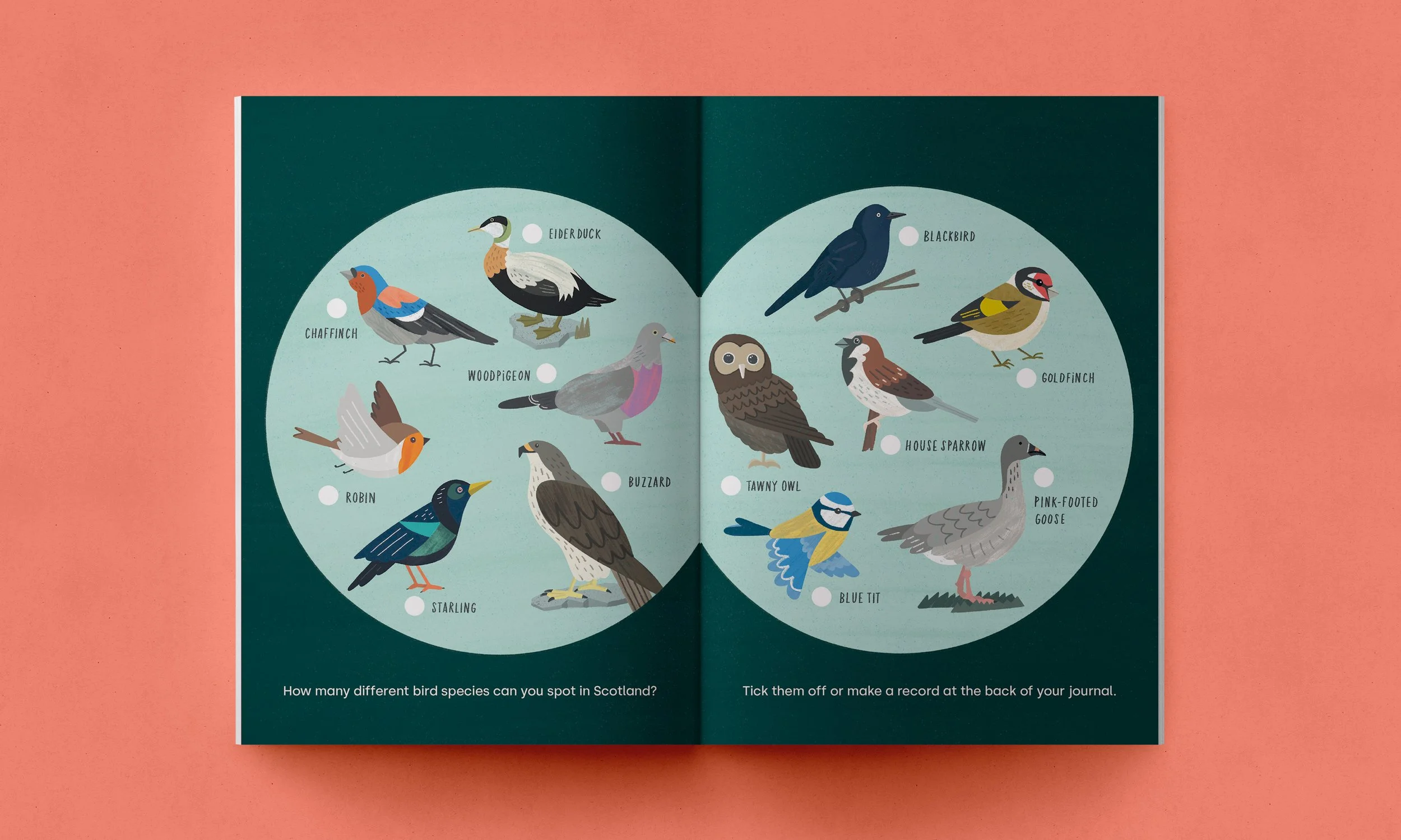 Wonderjournal_Spreads13.jpg
