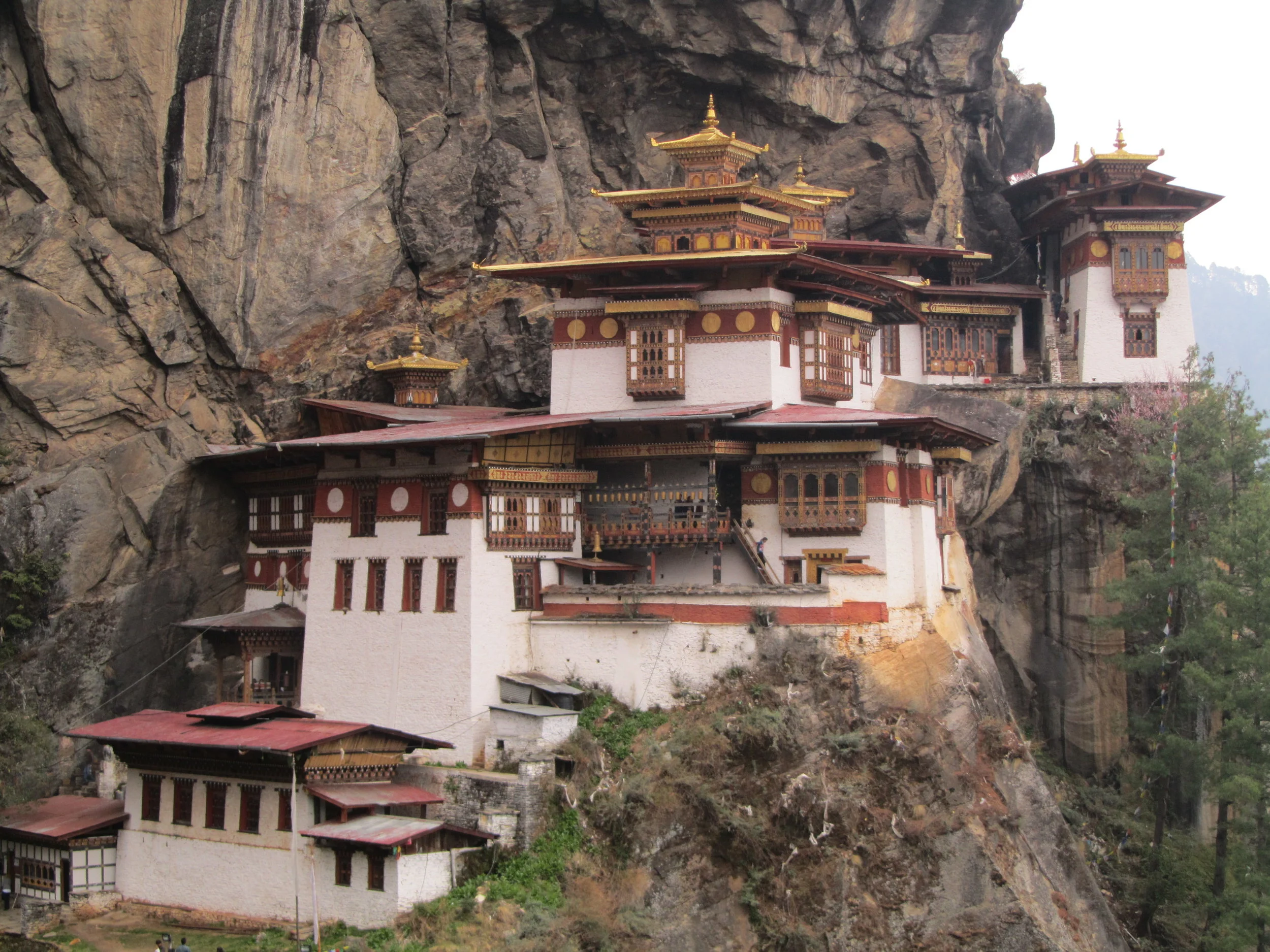 Angela 2013-2015 1322.JPG