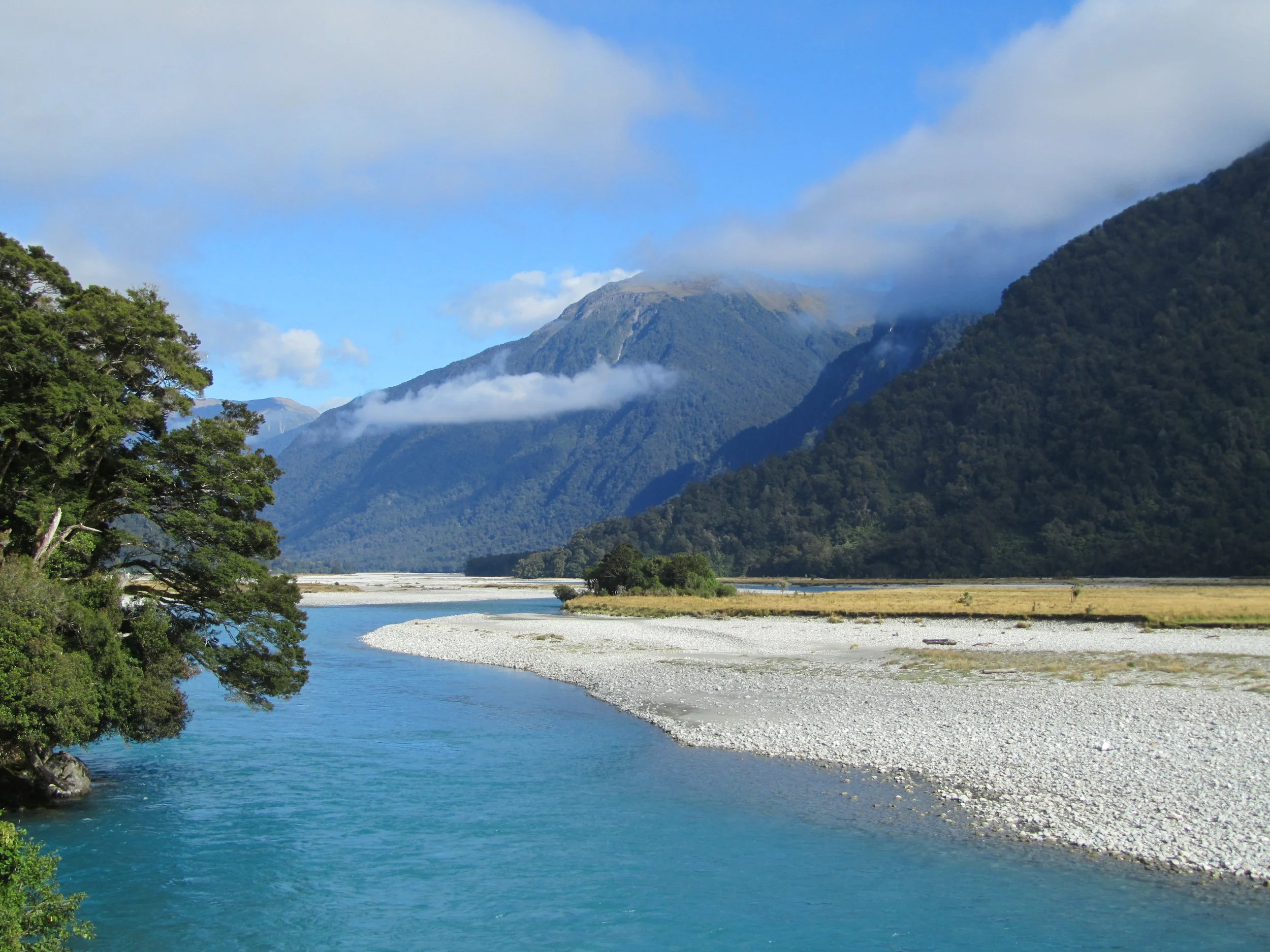 Angela 2013-2015 2997.JPG