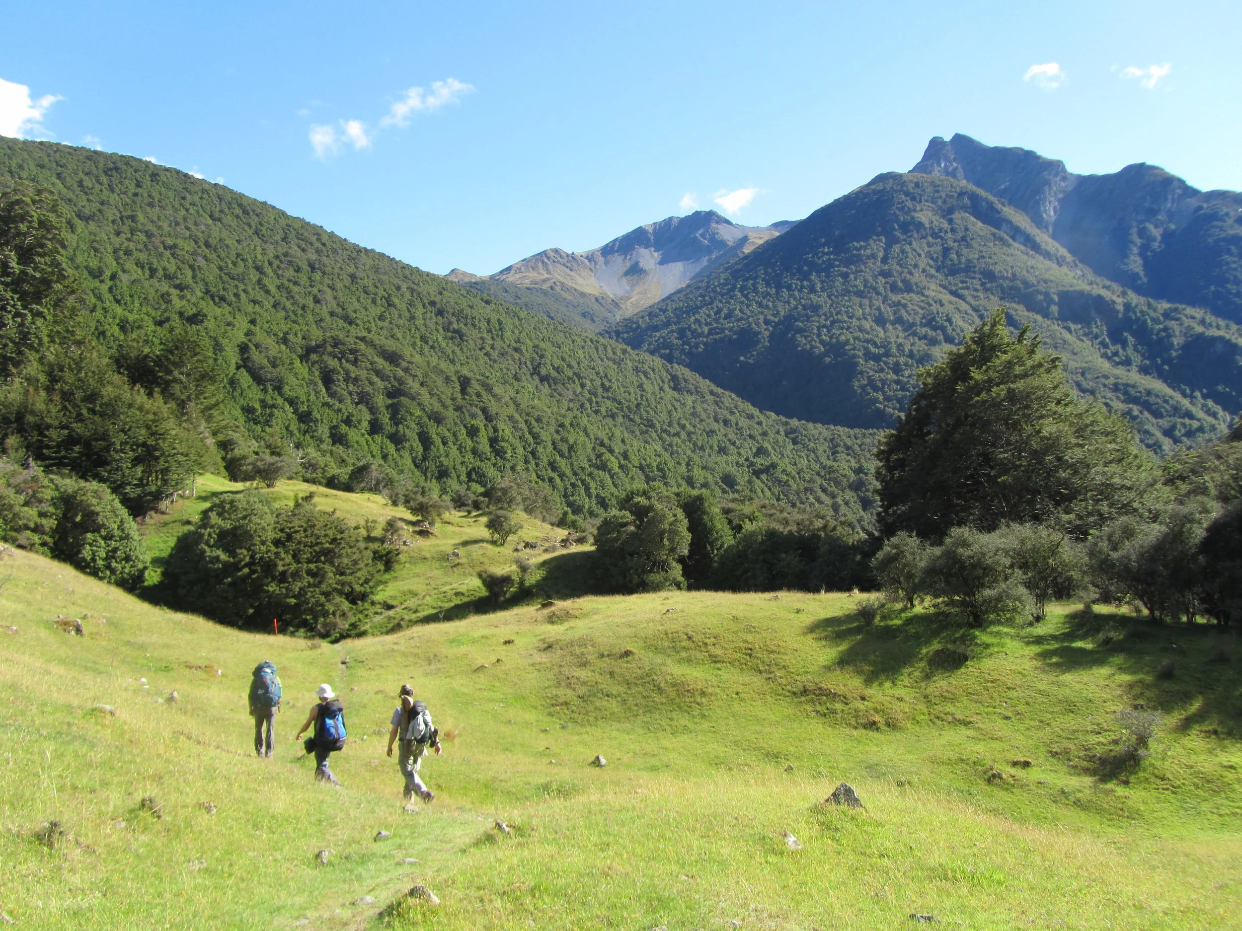 Angela 2013-2015 2800.JPG