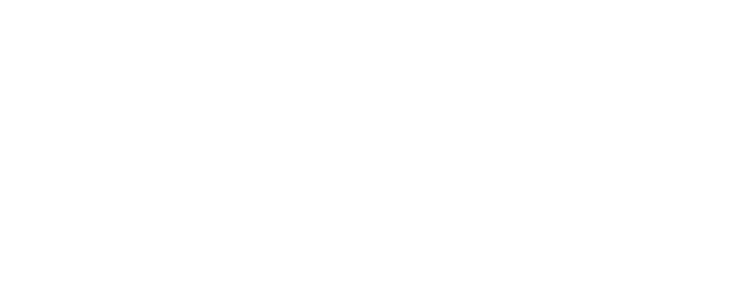 Tierney Global Travel