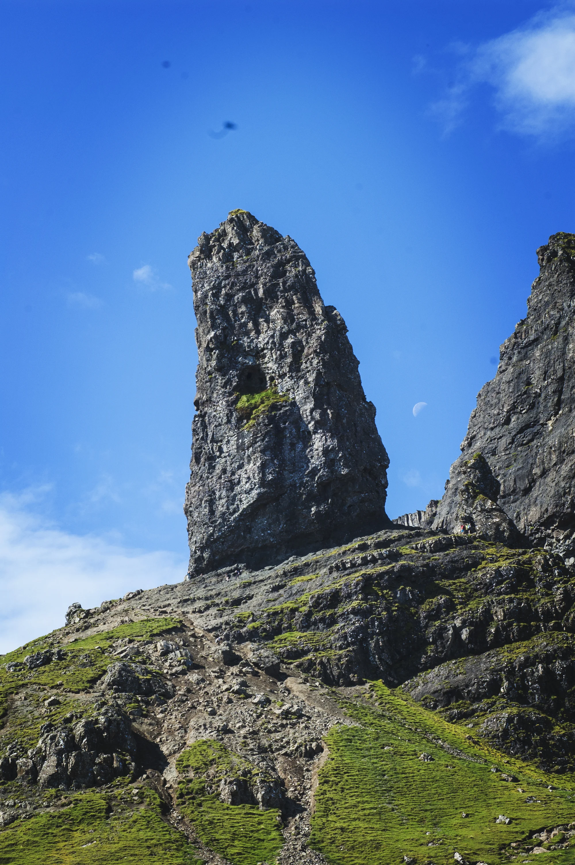 dsc_0288.jpg