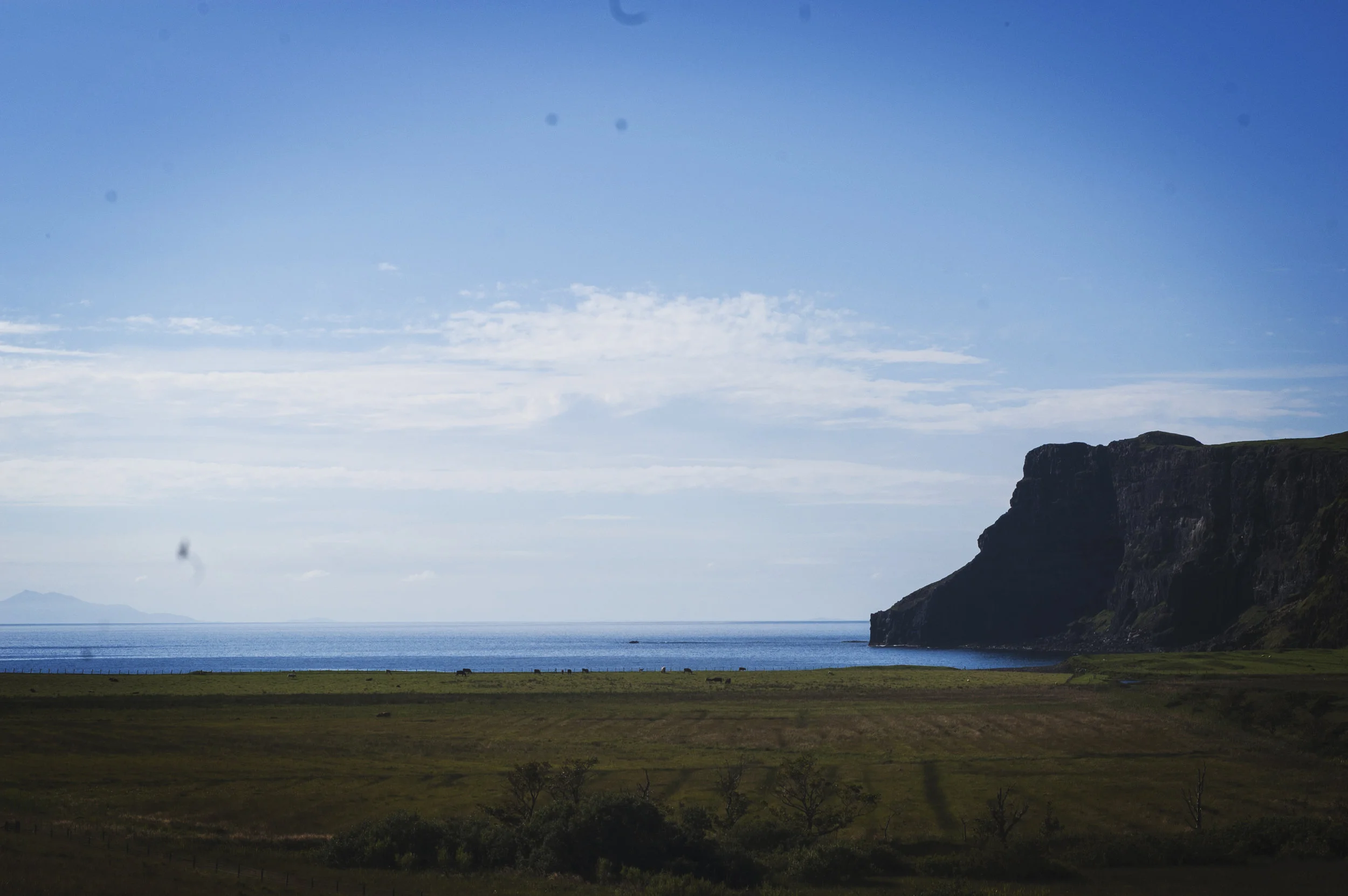 dsc_0316.jpg