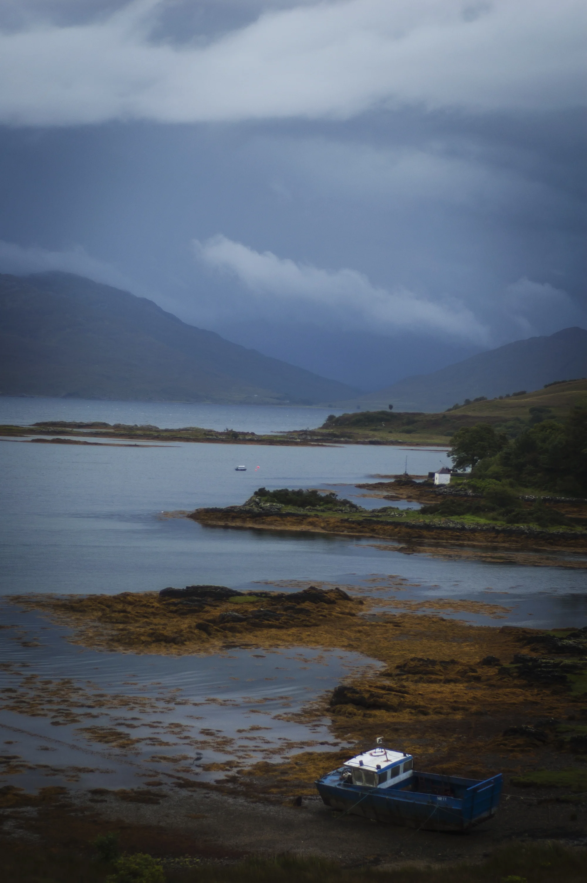 dsc_0431.jpg