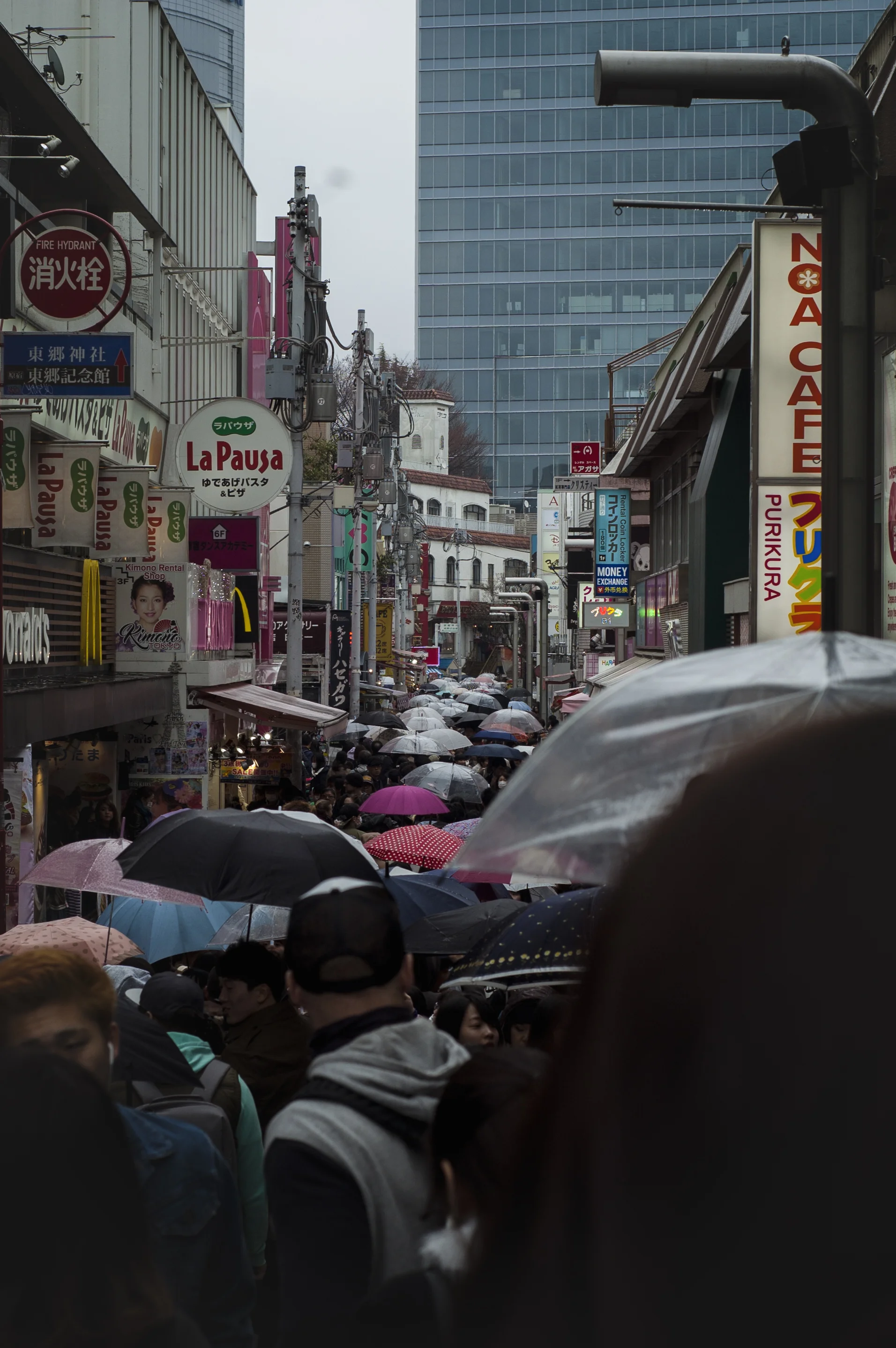 dsc_0088.jpg
