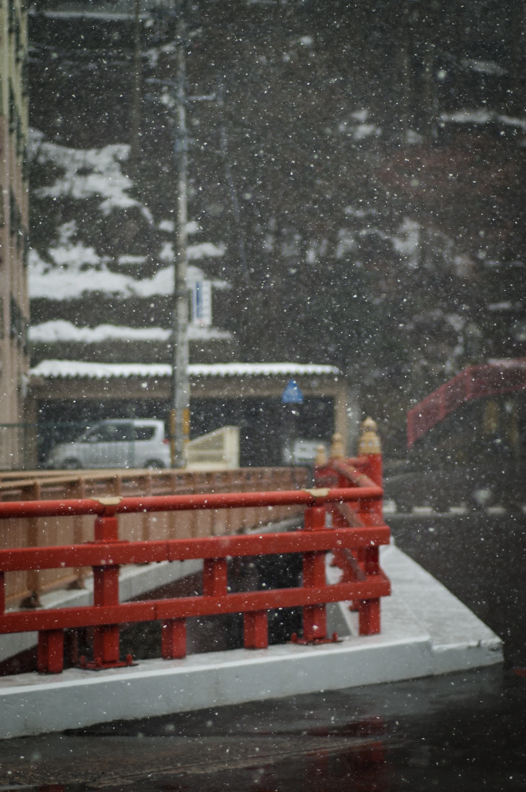 dsc_0131.jpg