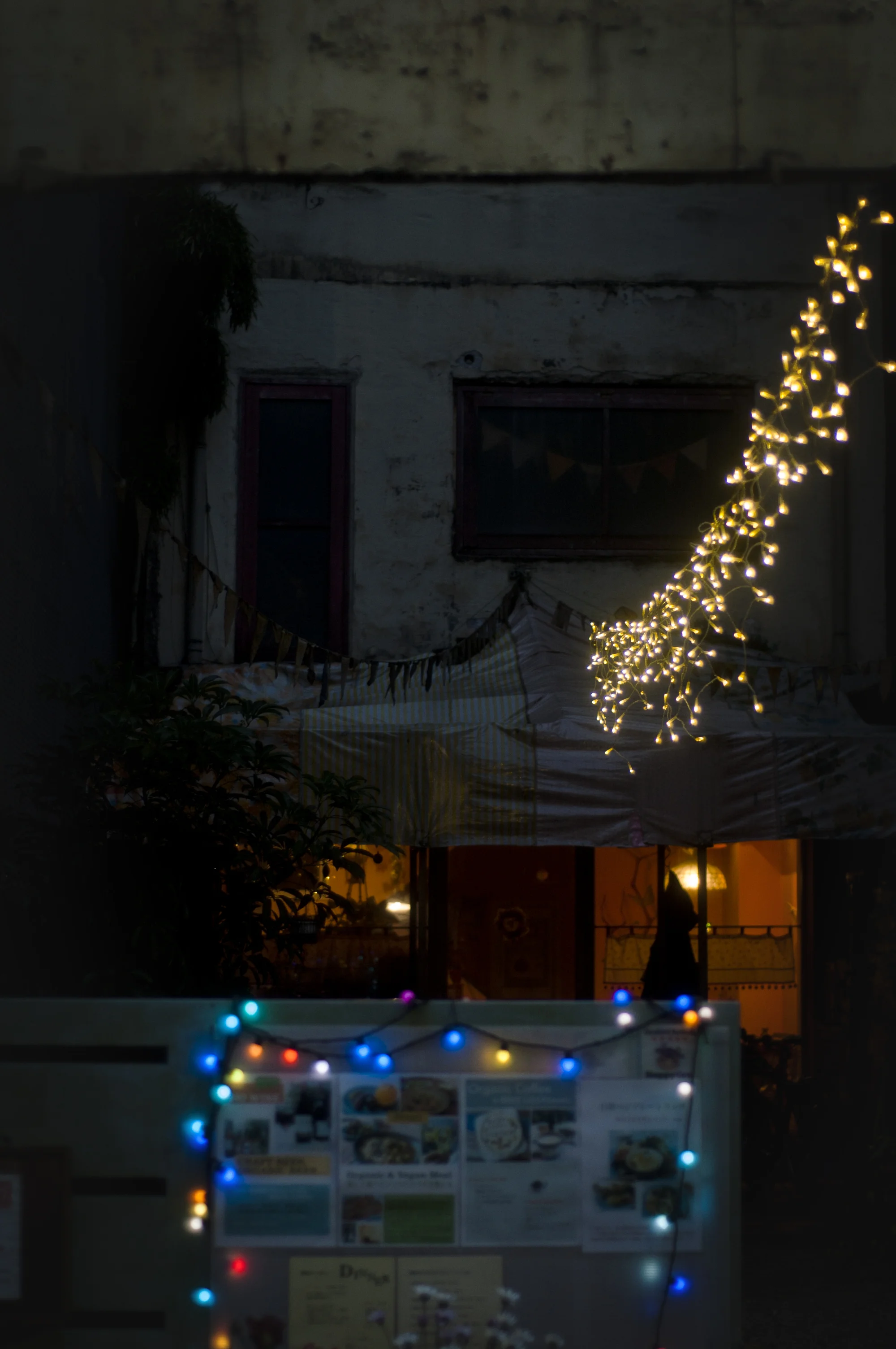 dsc_0826.jpg