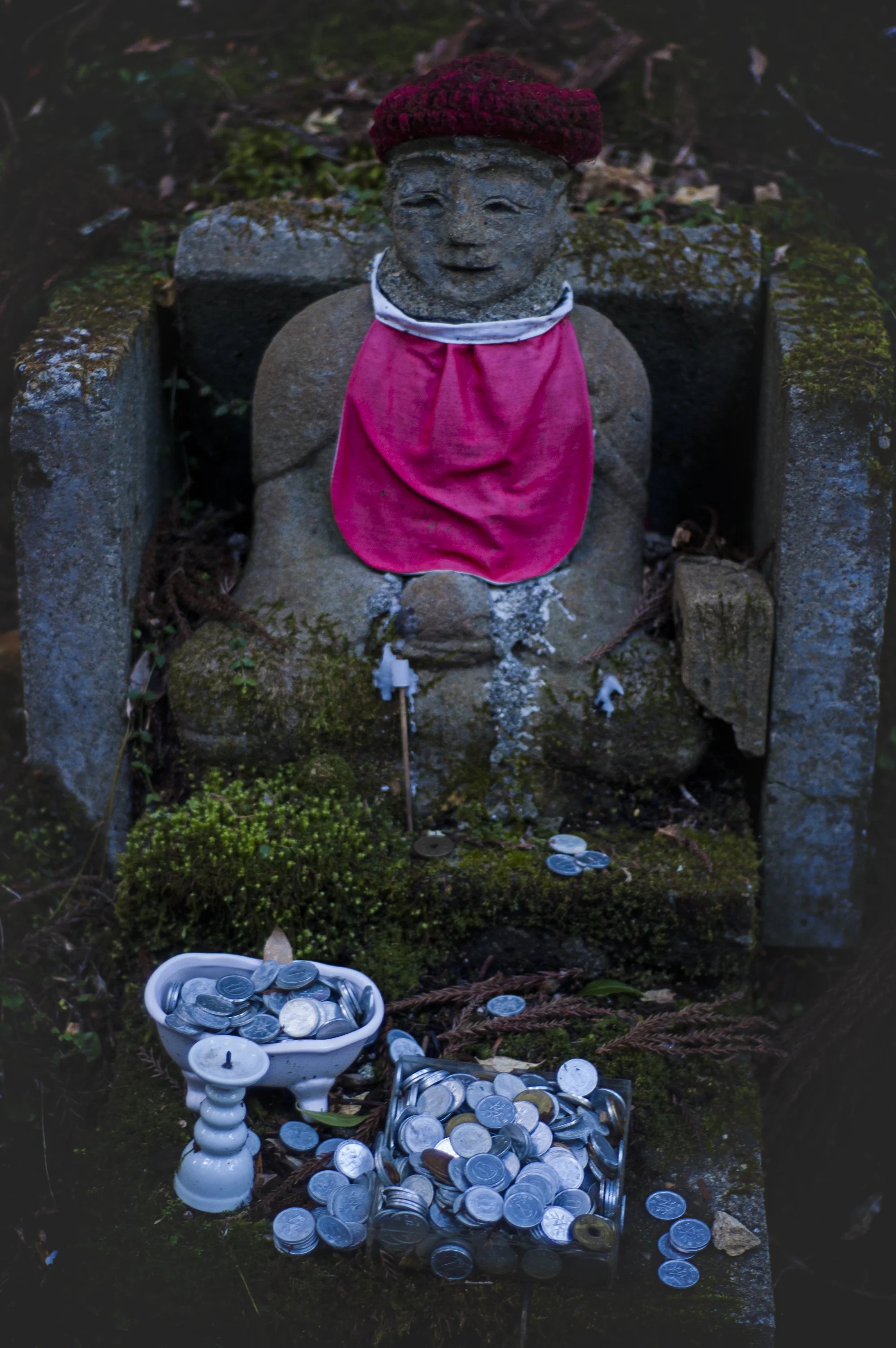 dsc_0015.jpg
