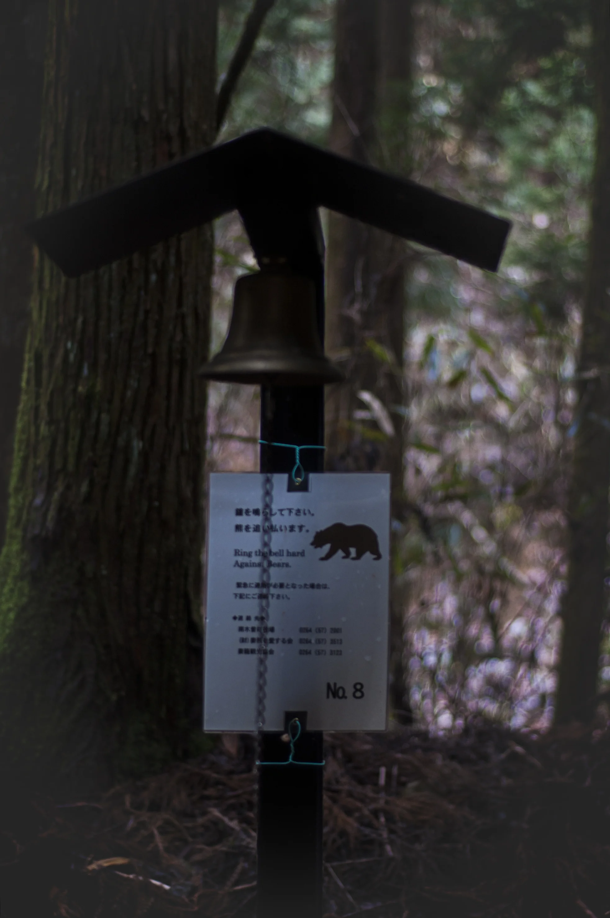 dsc_0876.jpg