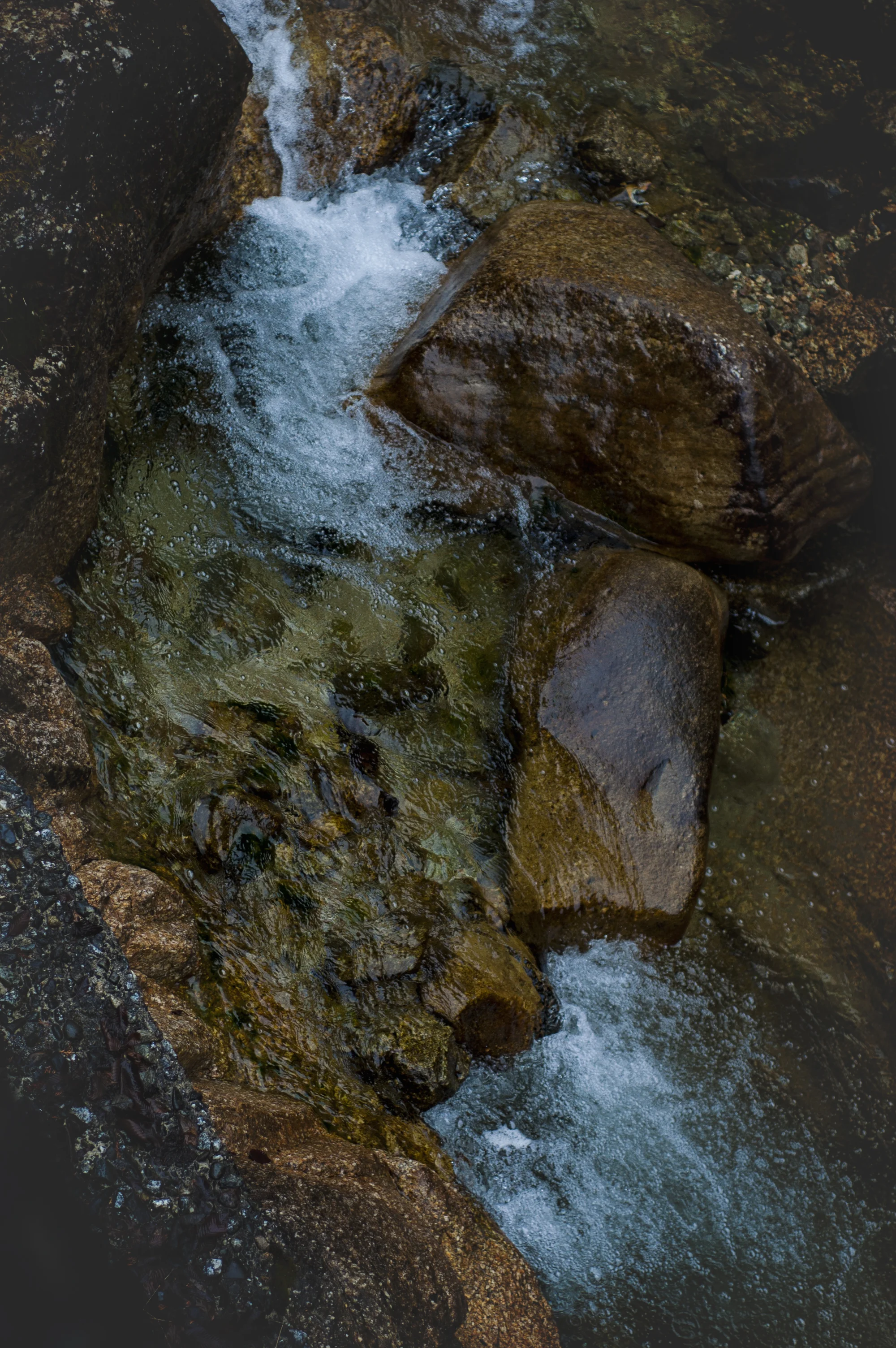 dsc_0888.jpg