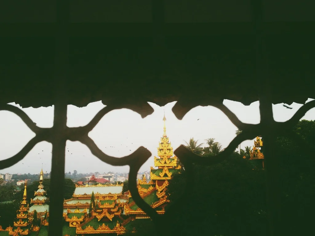 vscocam310.jpg