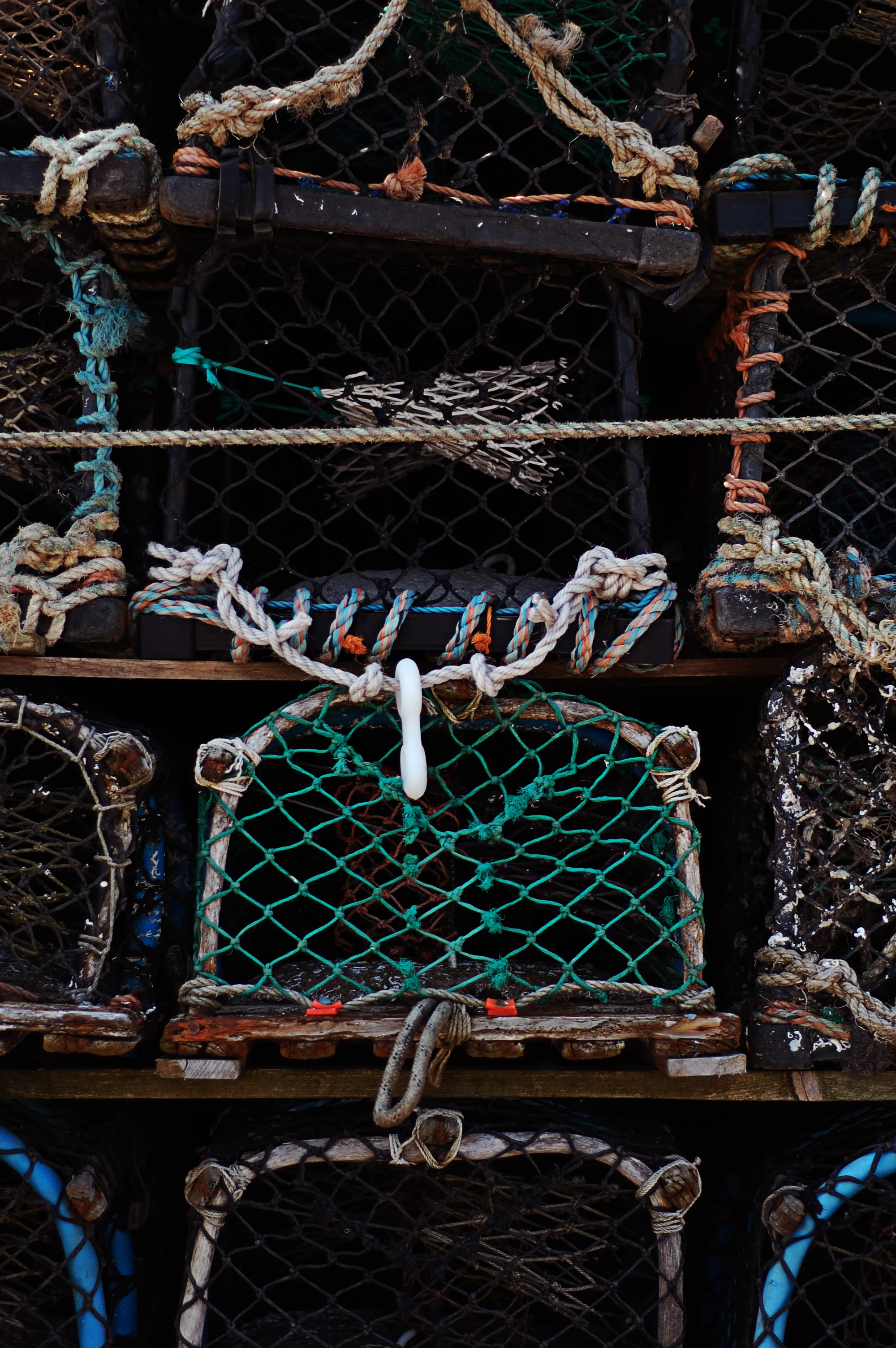 dsc_0783.jpg