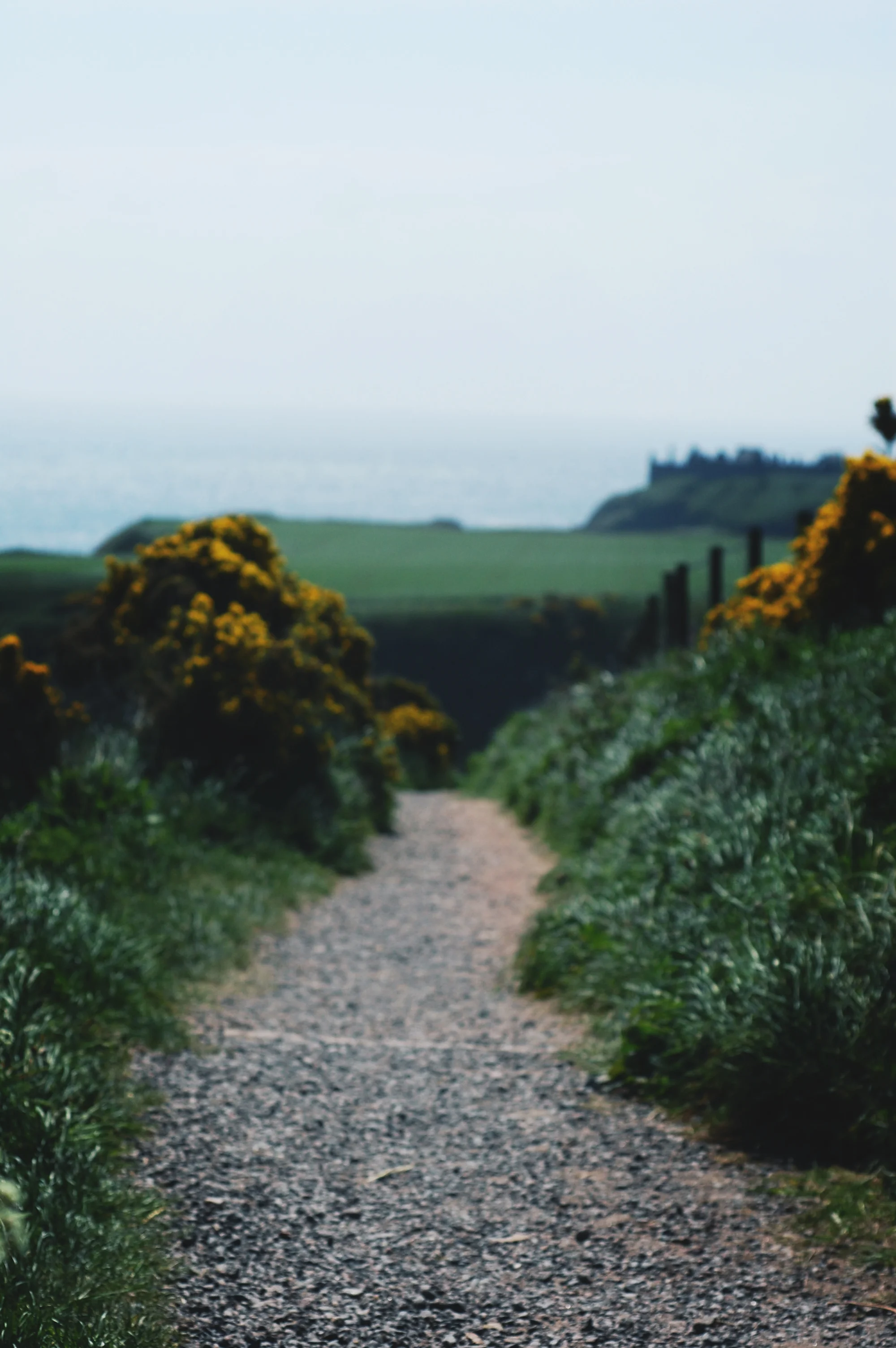 ... and reached the path to wander out towards Dunnottar Castle.