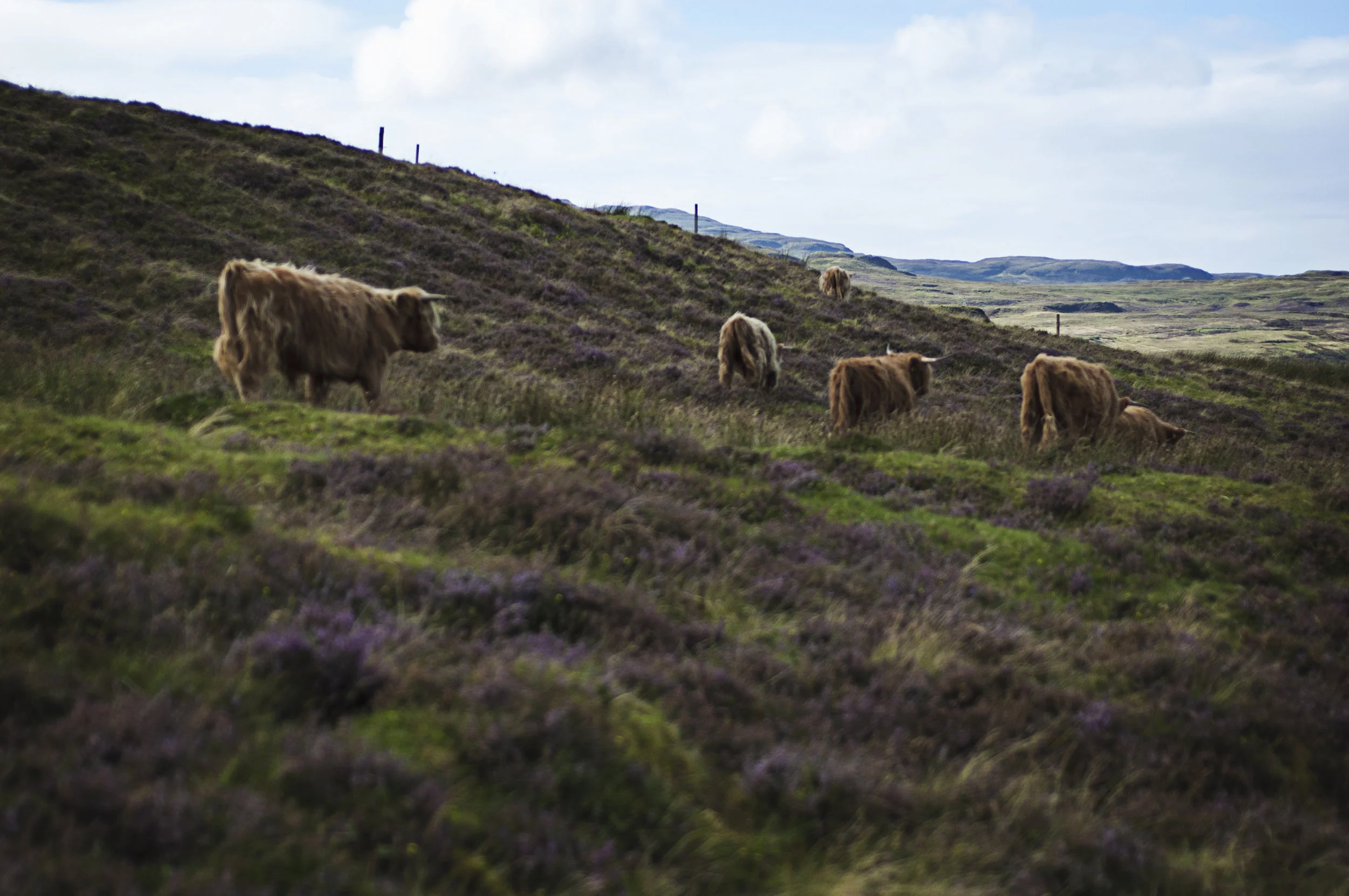 dsc_0145.jpg