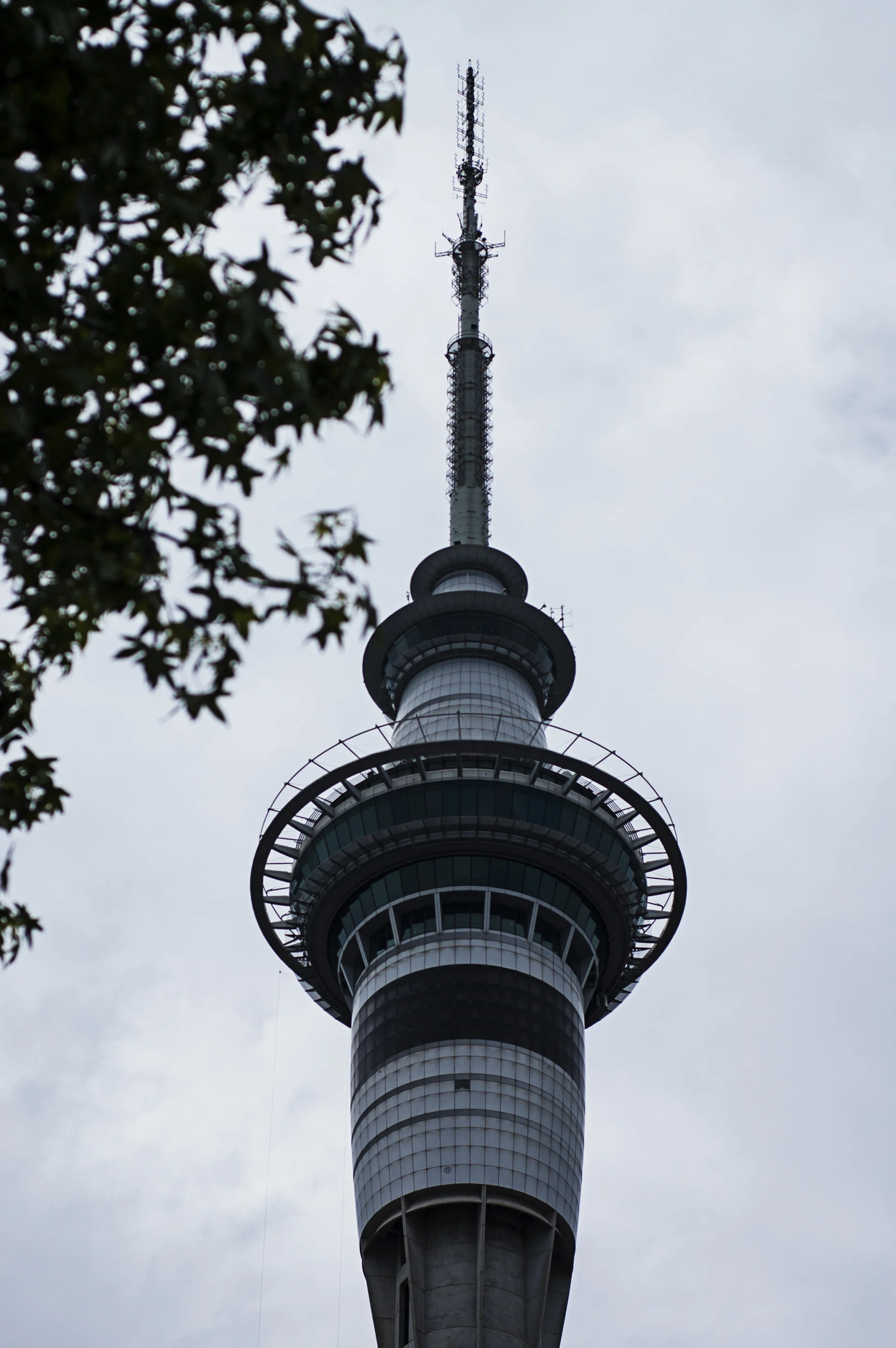 DSC_1214.jpg