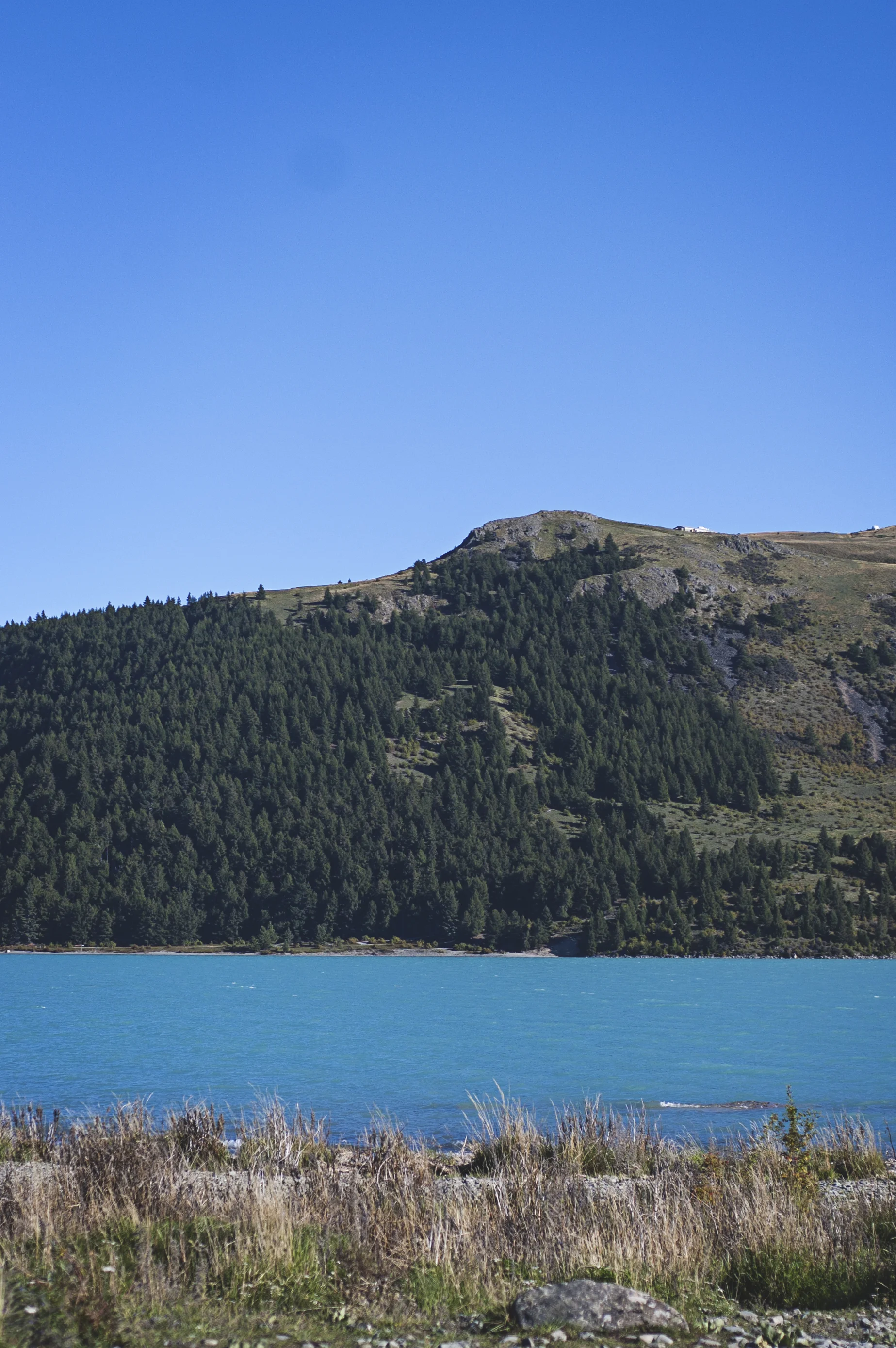 DSC_2318.jpg