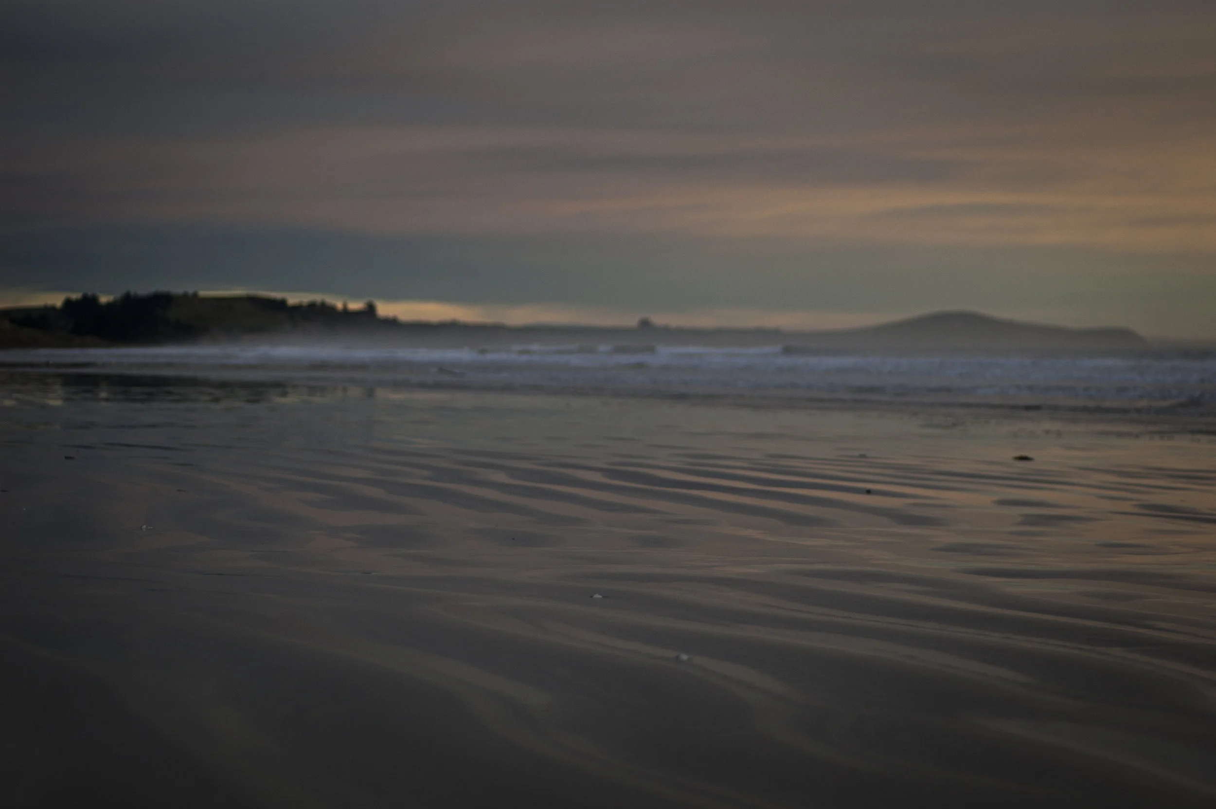 DSC_2390.jpg