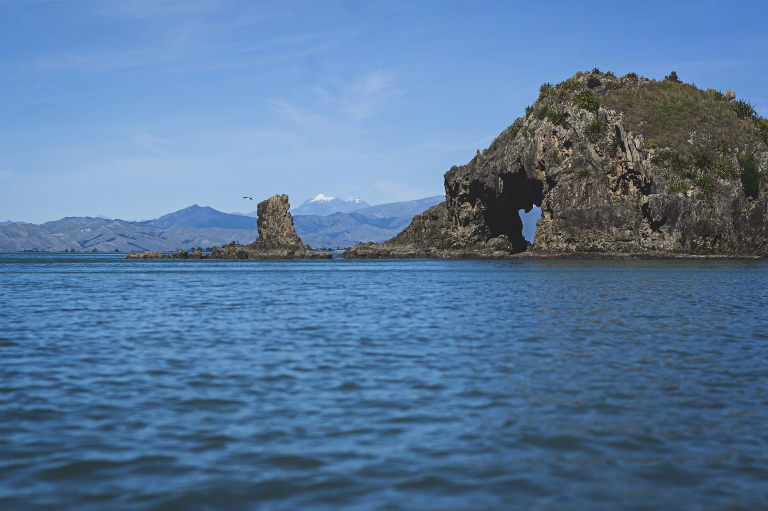 DSC_2860.jpg