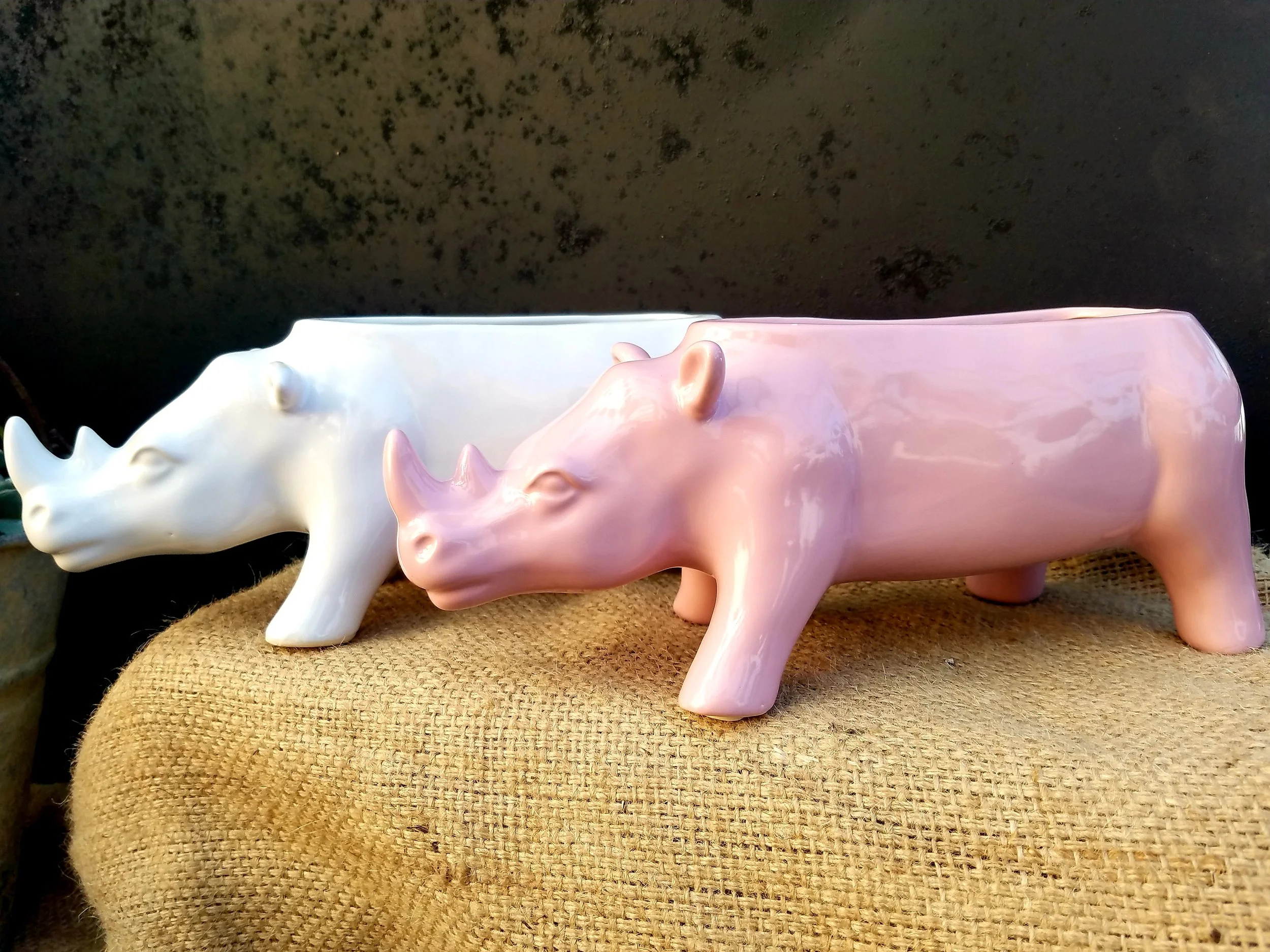 20190124_171628.jpg