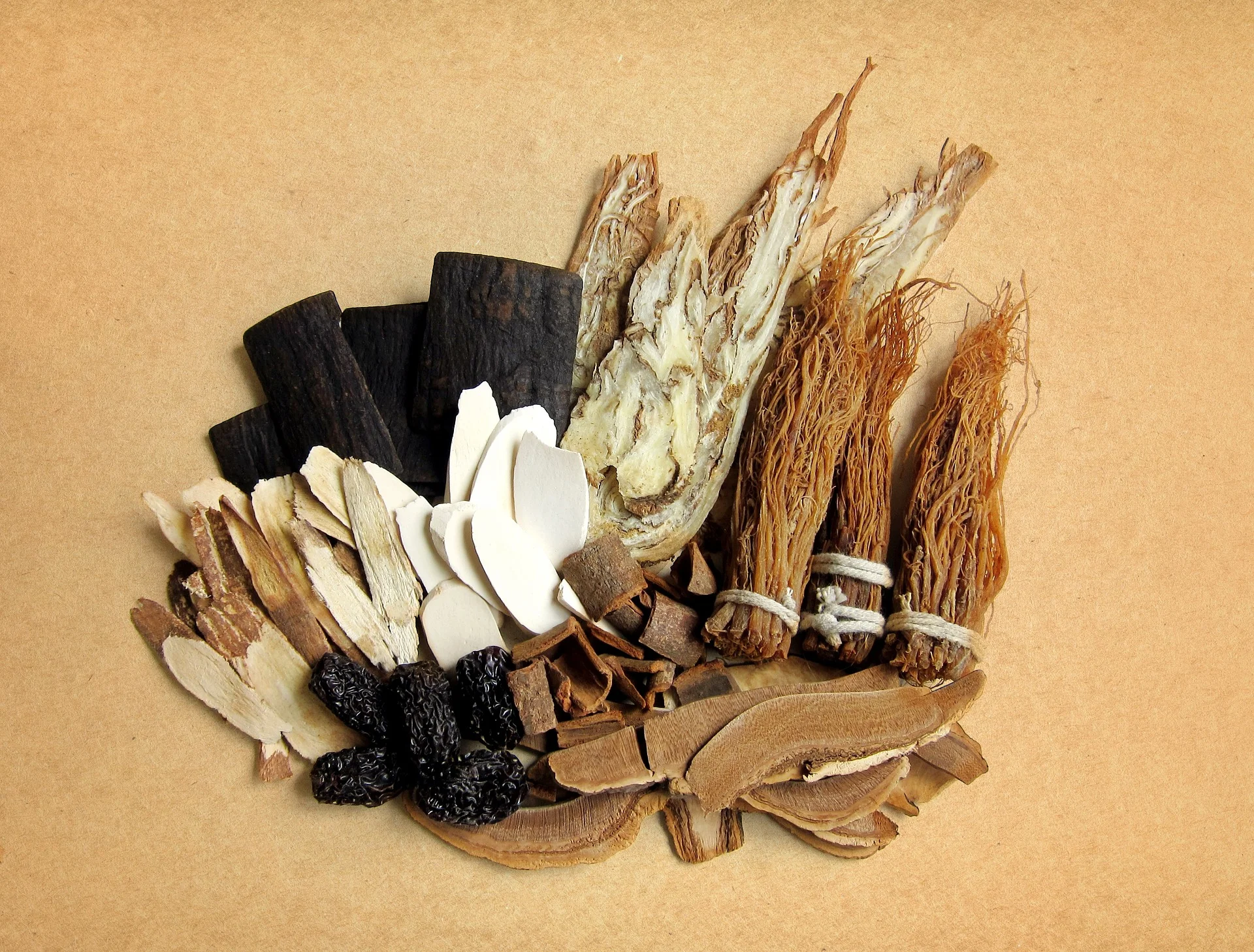 Immortal Medicine Texas