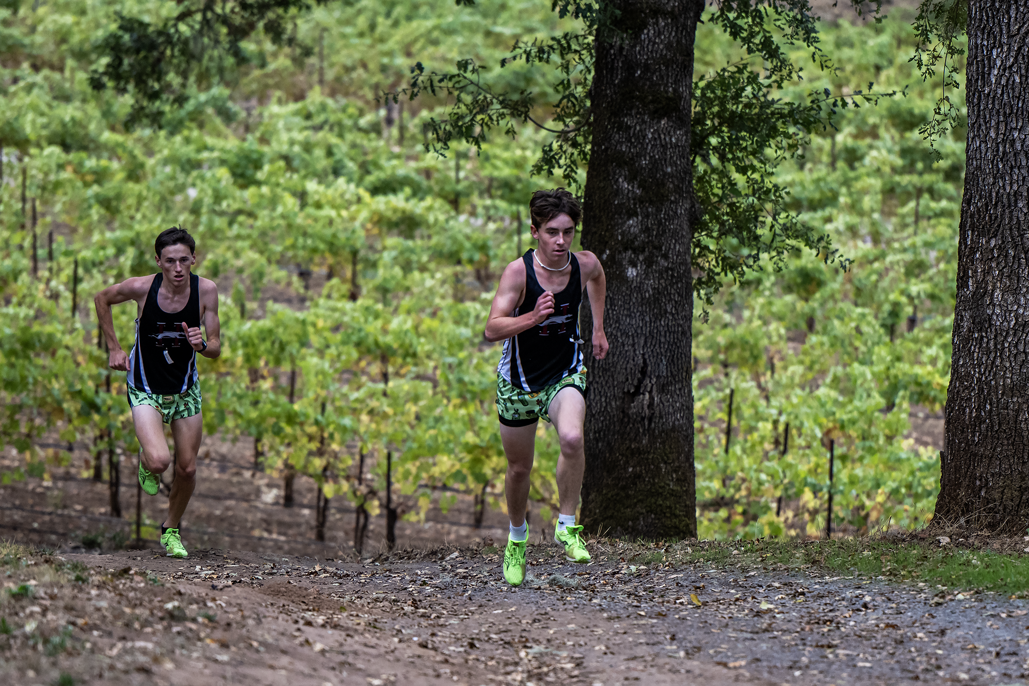 HHS v Rancho XC 01565 10 8 25.png