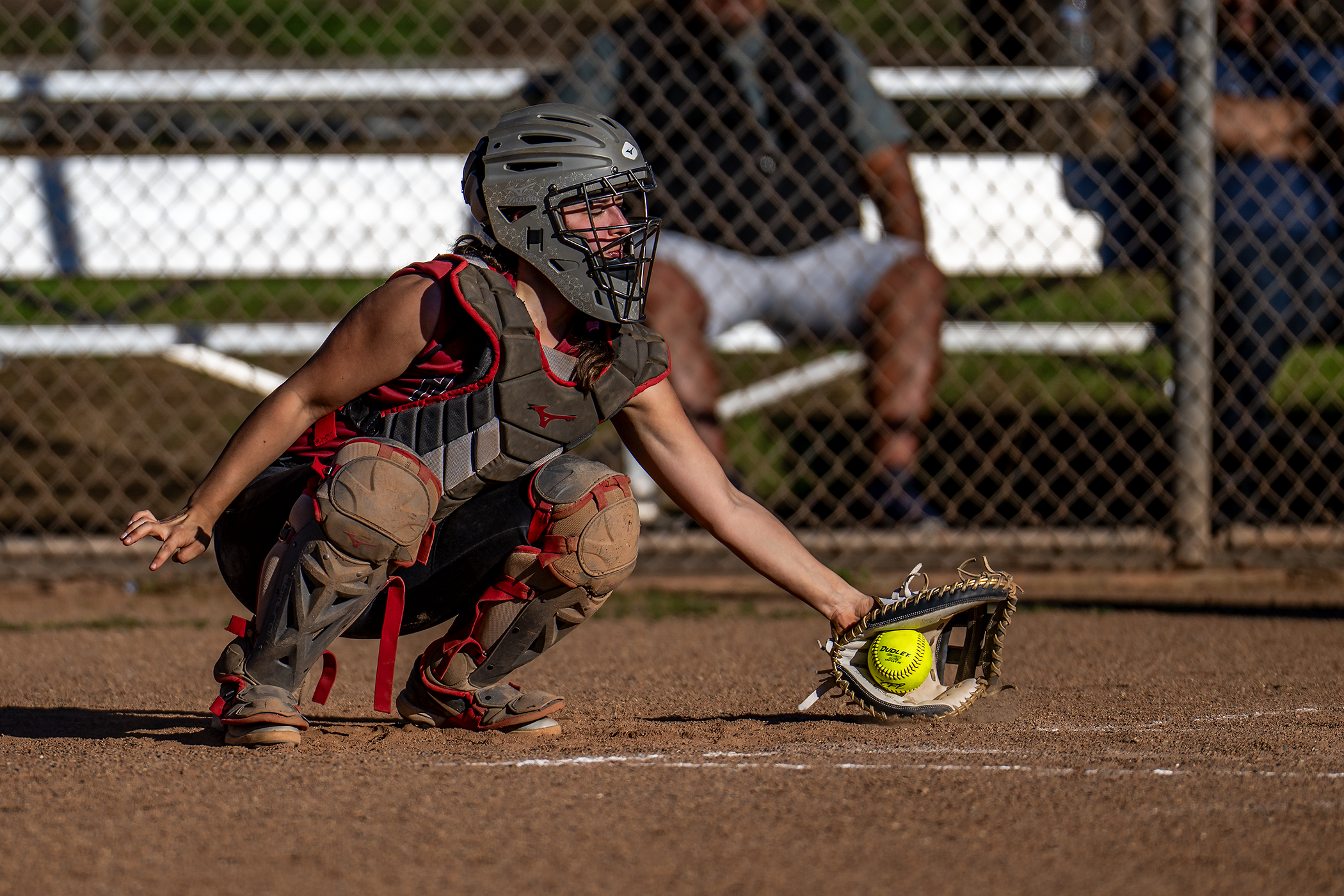 HHS v Willits SB 01785 3 9 26.png