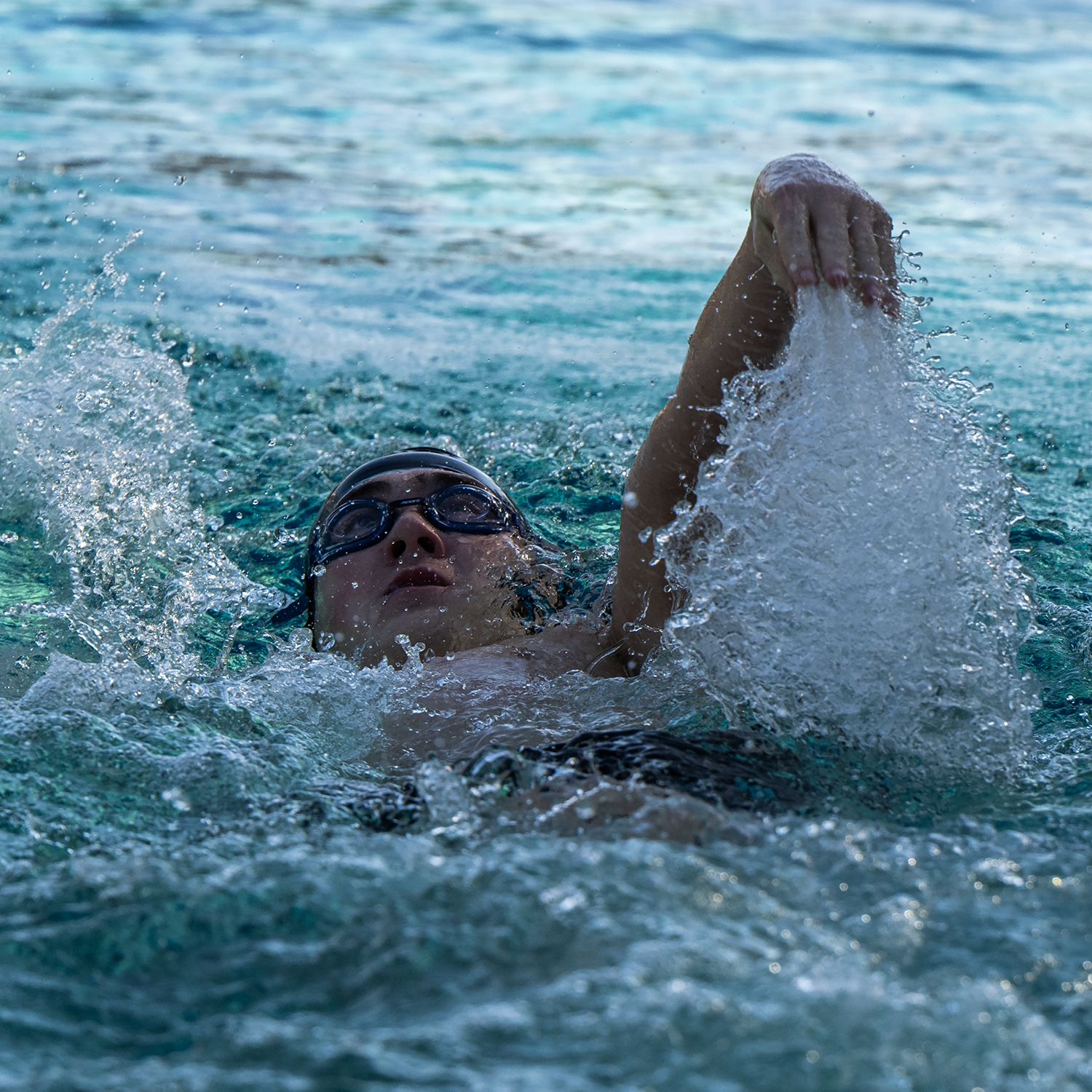 HHS v Piner Swimming 00656 3 13 24 24.png