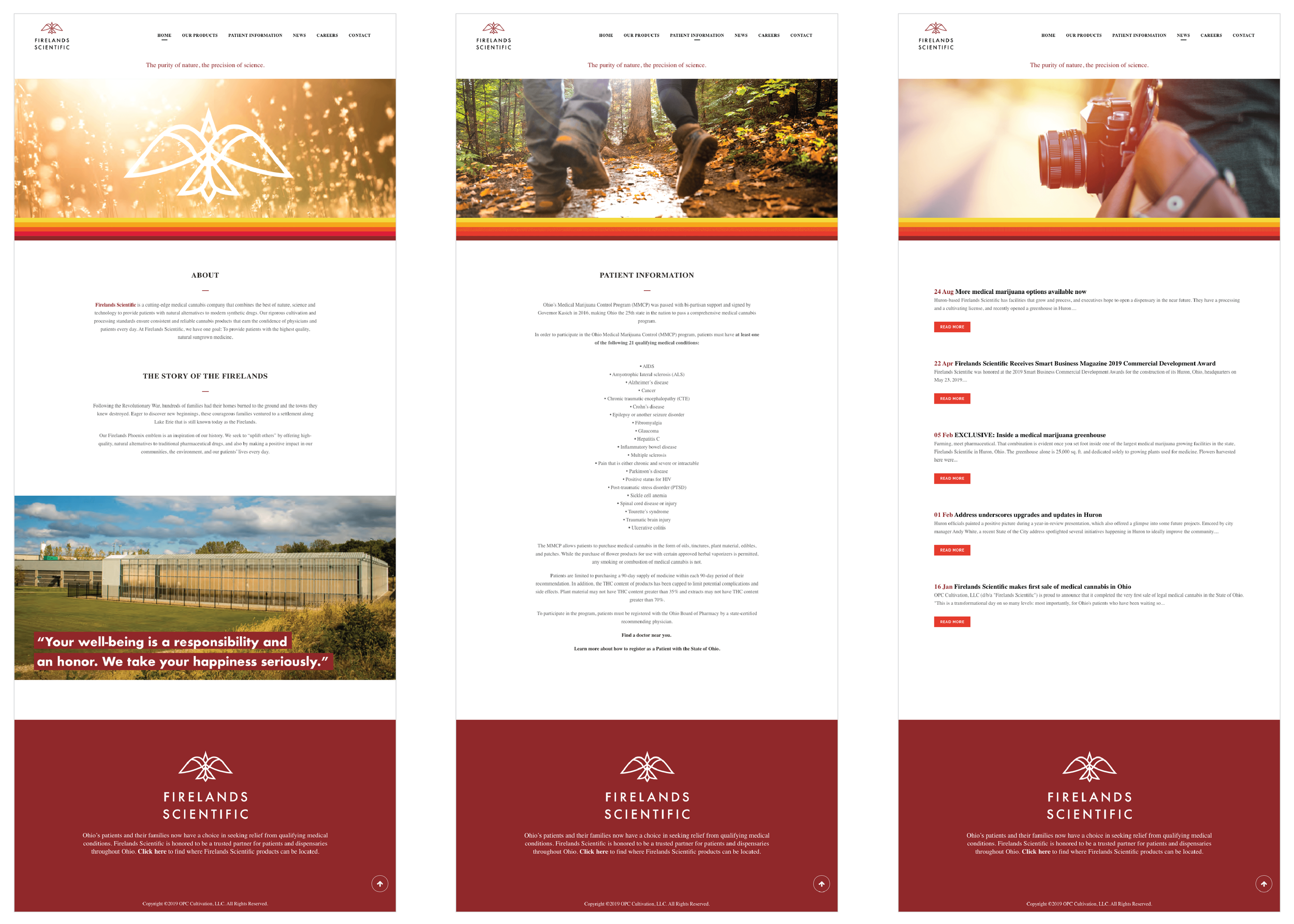  Website 