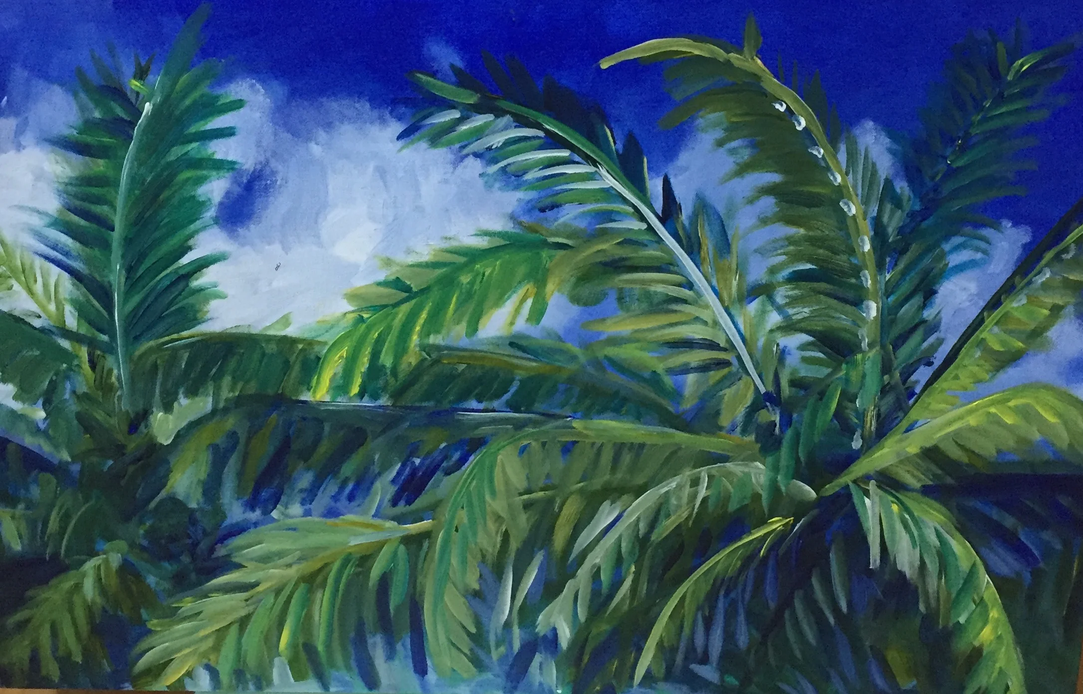 Palms 