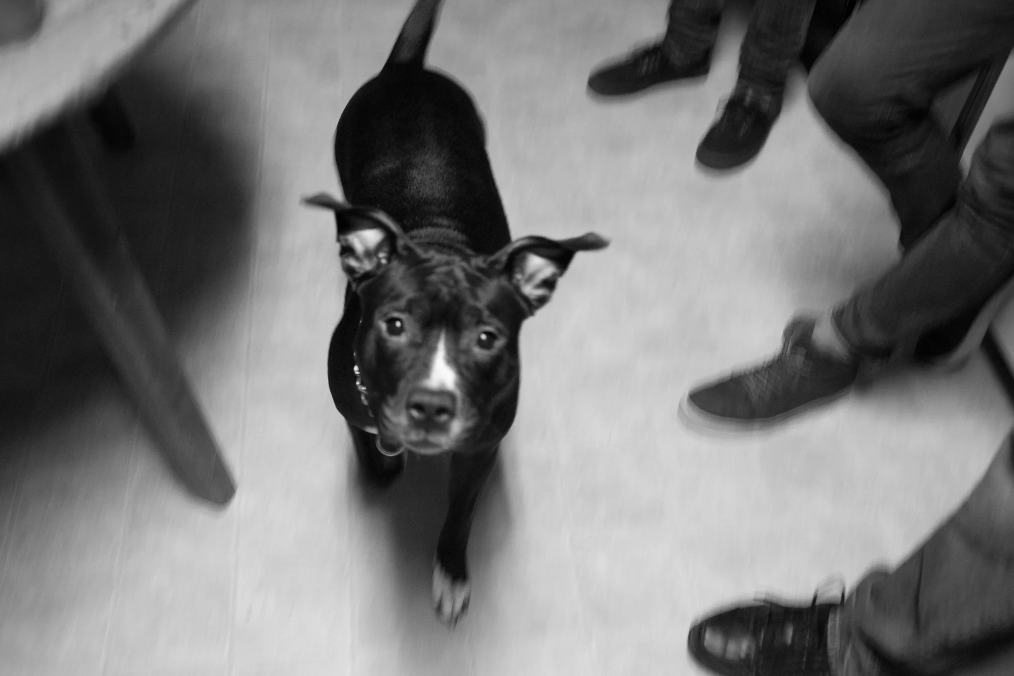 March 02, 2013_party_0007.jpg