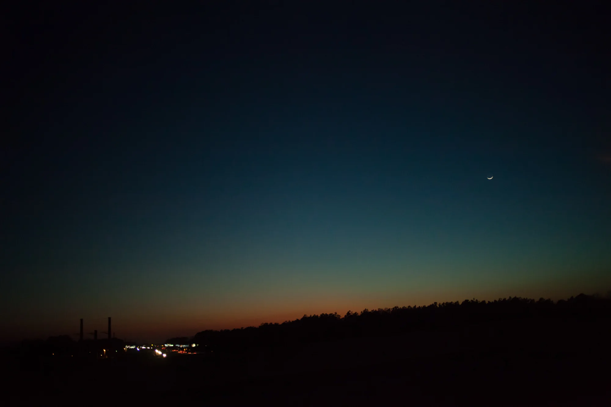 myrtle_March 02, 2014_0096.jpg