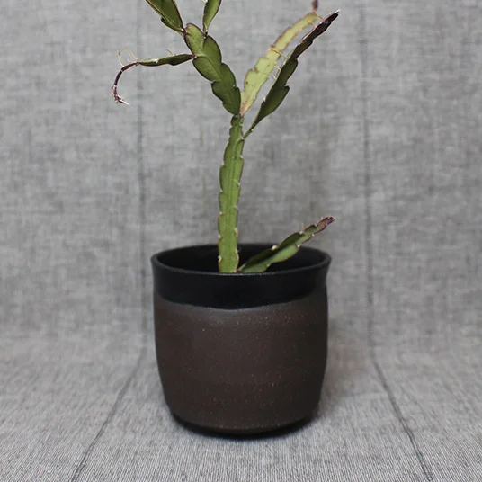 LittleEarthPlanter2.jpg